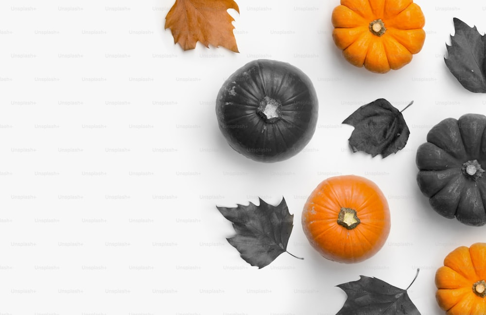An autumn Halloween composition flat lay made with pumpkins and dry autumn leaves. Room for content and text.