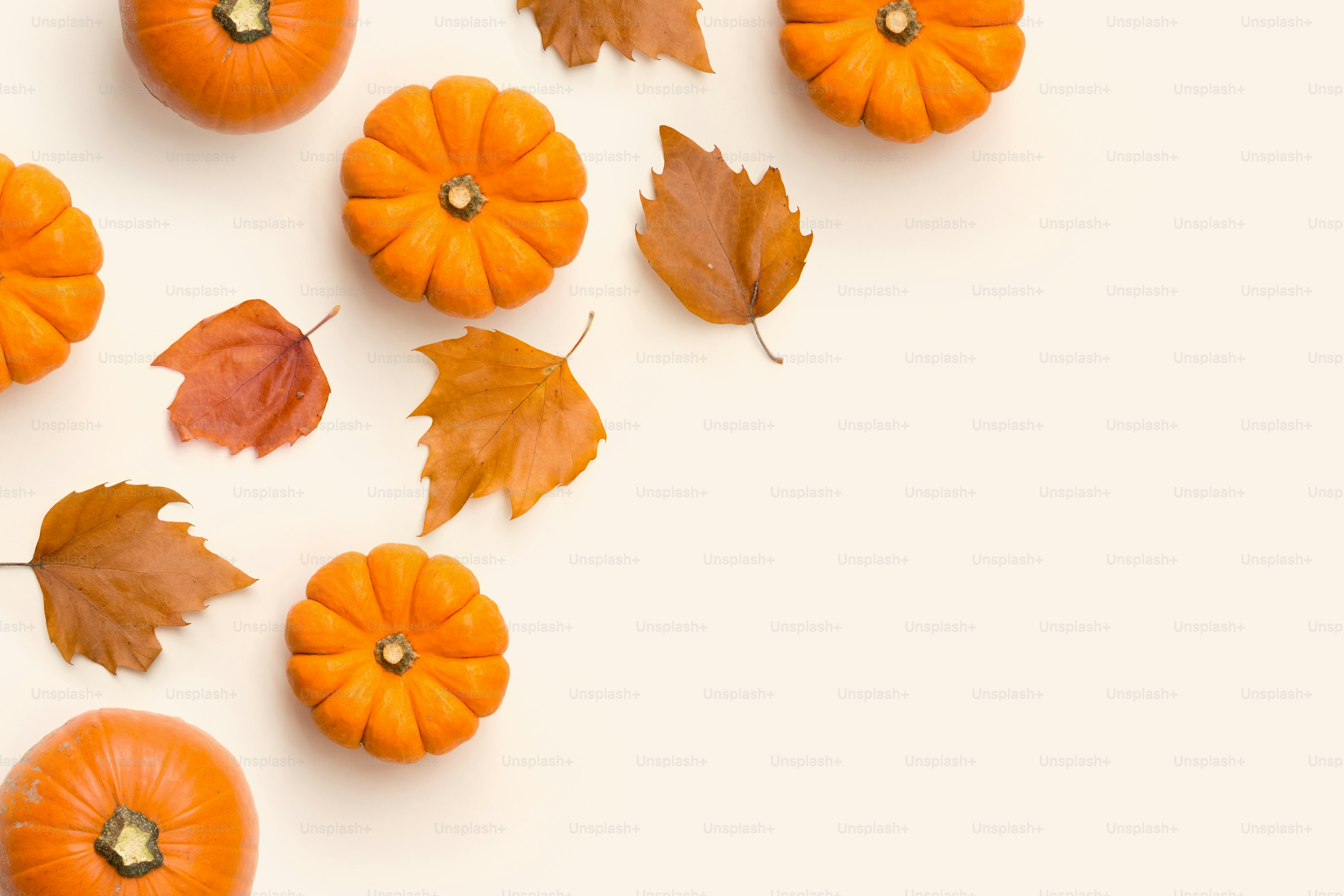 Herbst, Herbst und Ernte: zeitgenössische Hintergrundkomposition mit Kürbissen und Blättern.