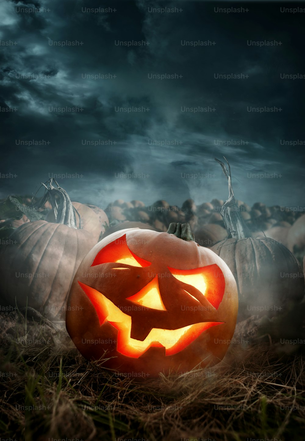 Halloween pumpkin field with a glowing carved pumpkin Jack O lantern at night. Photo composite.