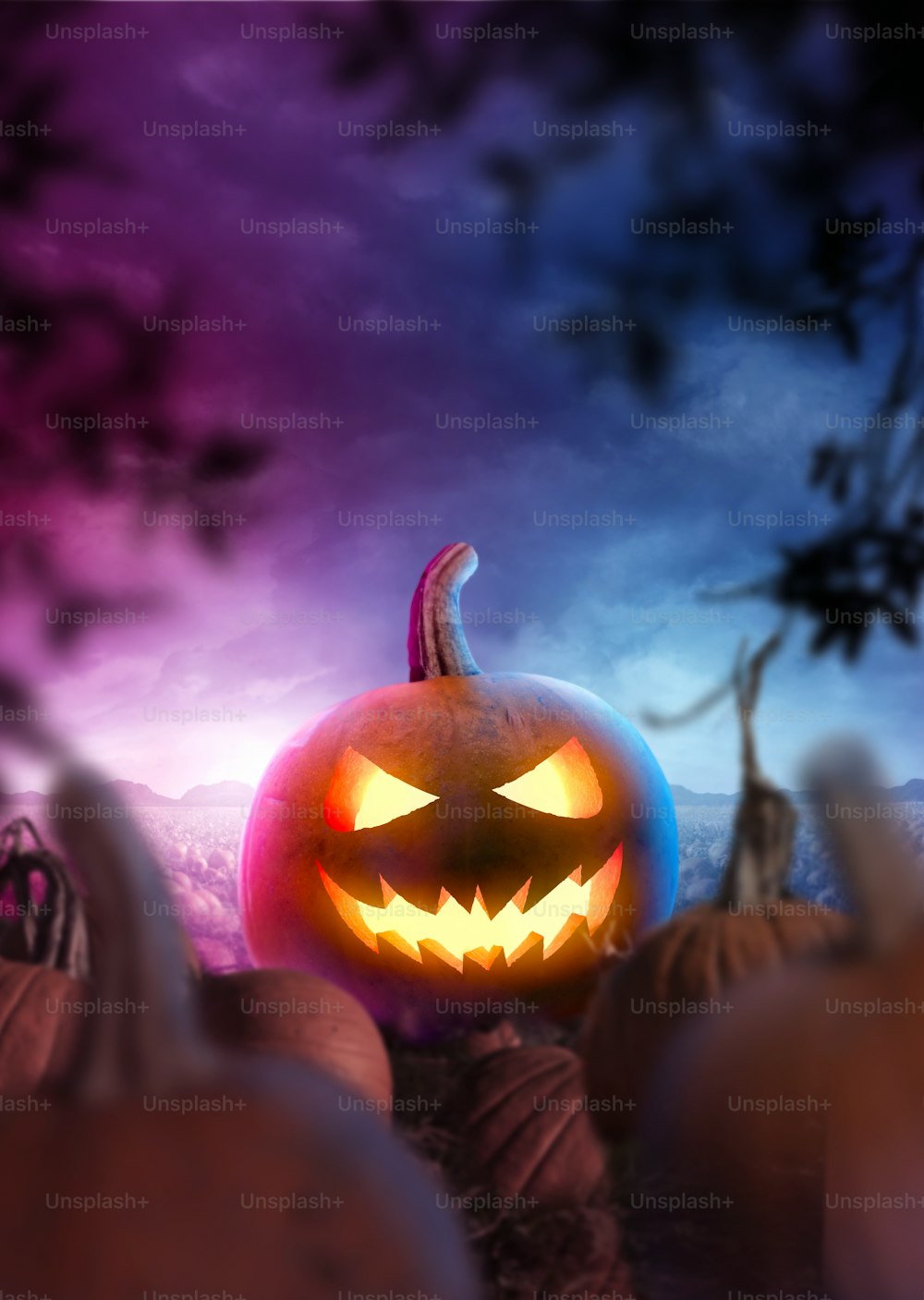 Happy Halloween! A glowing carved pumpkin in a spooky and misy field at night. Landscape photo composite.