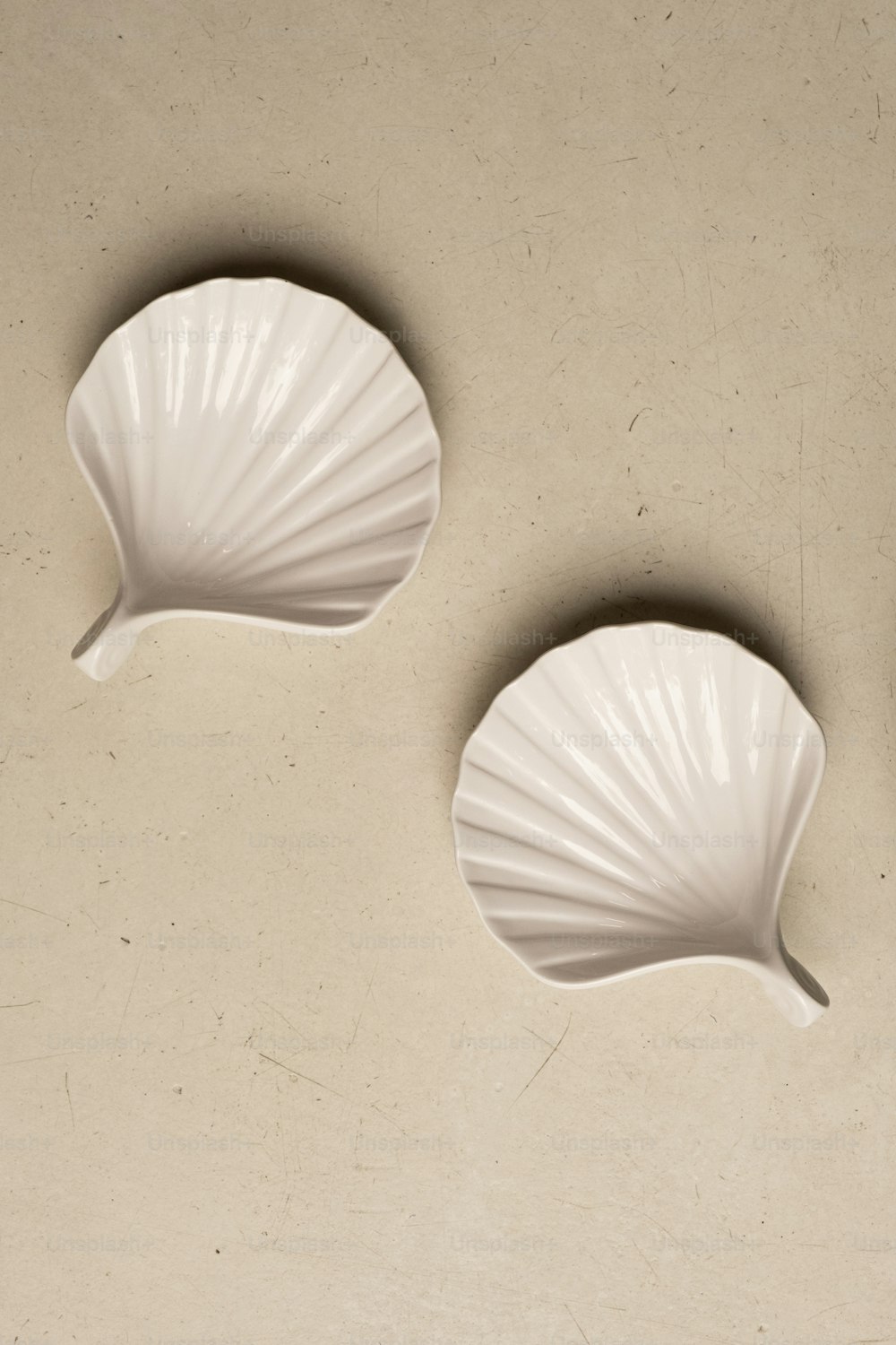 three seashell shaped dishes on a table