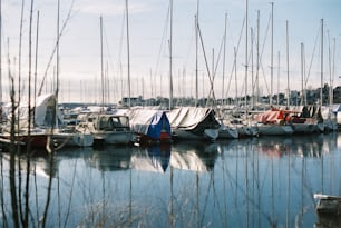 a bunch of boats that are in the water