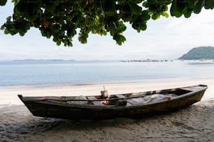 a boat sitting on the beach under a tree