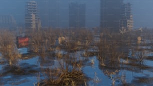 a swampy area with tall buildings in the background