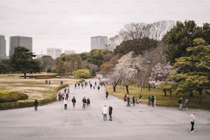 um grupo de pessoas caminhando ao redor de um parque