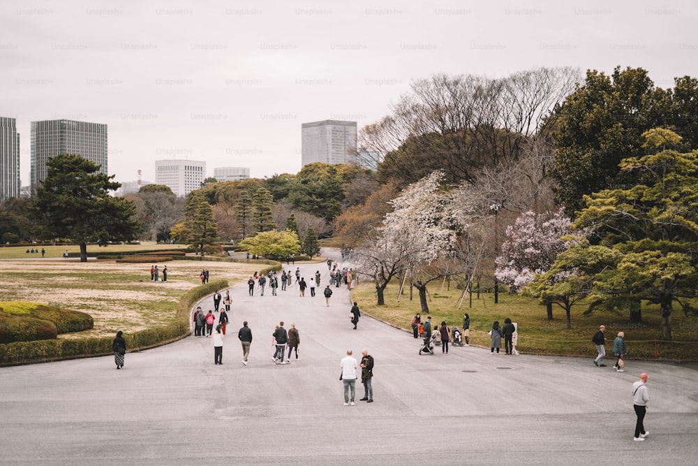 a group of people walking around a park