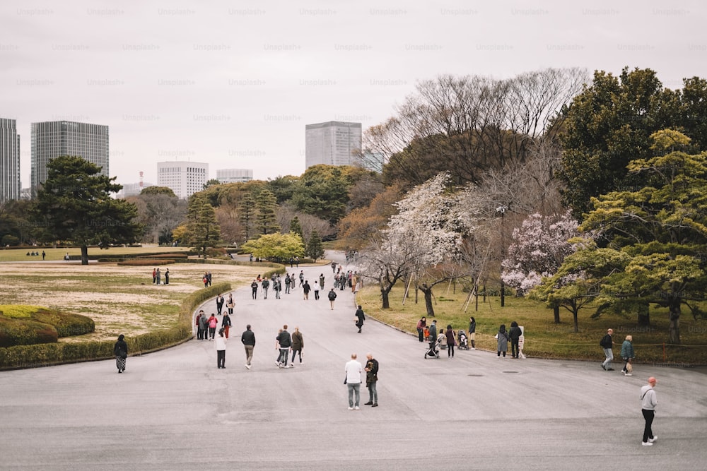 Un grupo de personas caminando por un parque