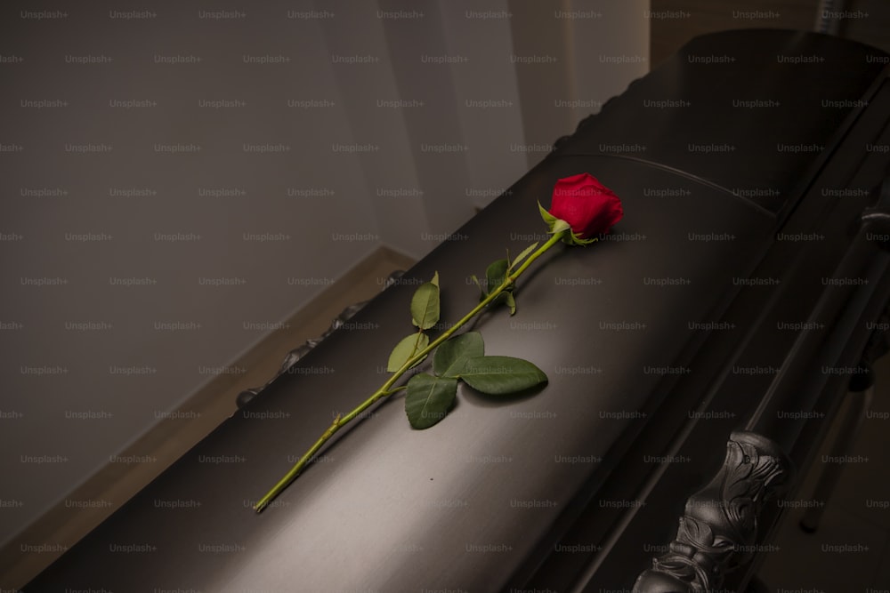 a single red rose sitting on top of a piano