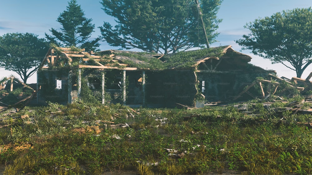 una casa che sta cadendo a pezzi nel bosco