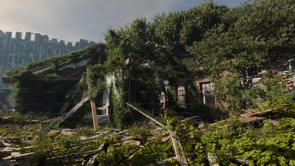 a ruined house surrounded by trees and bushes