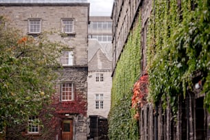a narrow alley way with a building covered in ivy