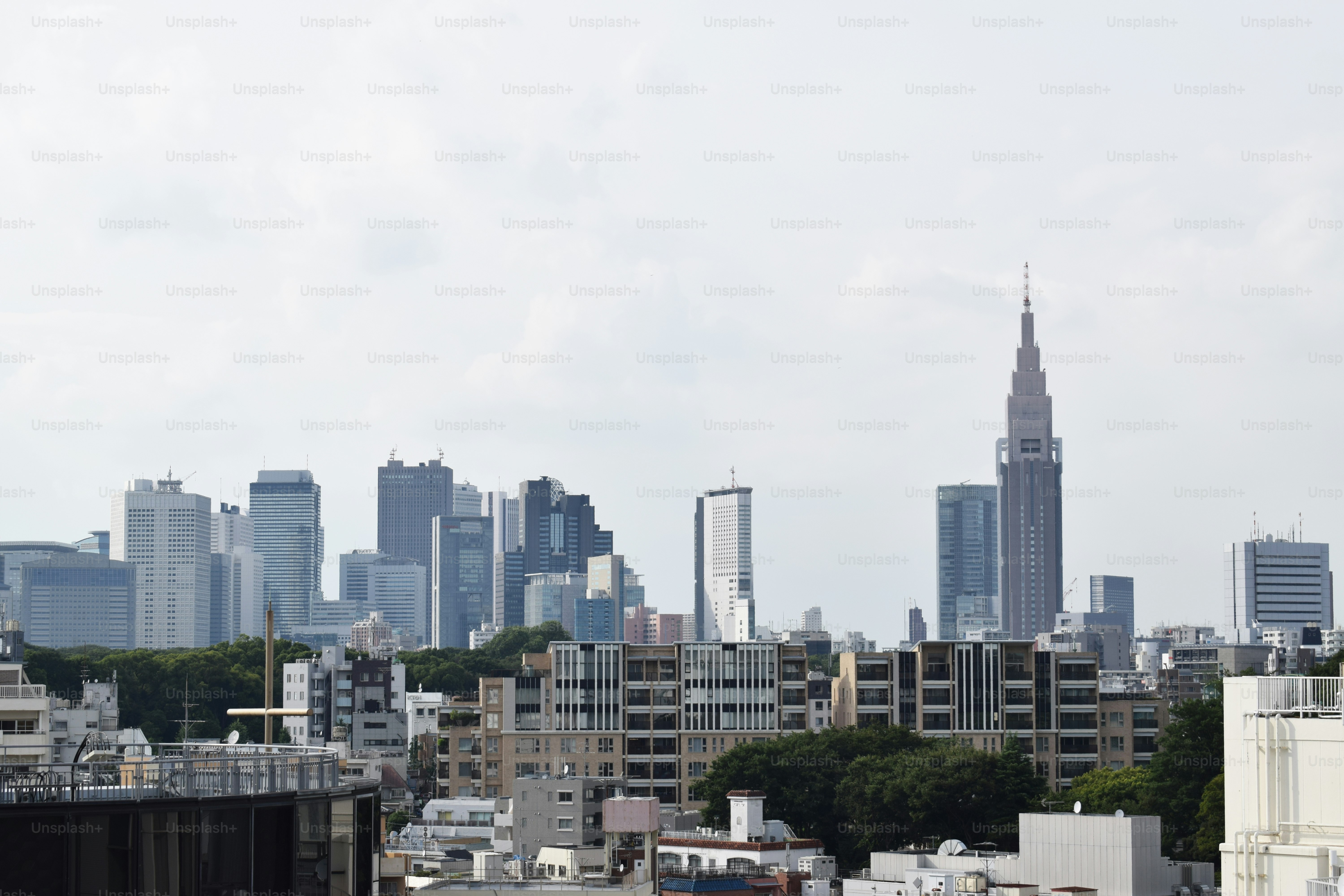 View of Tokyo