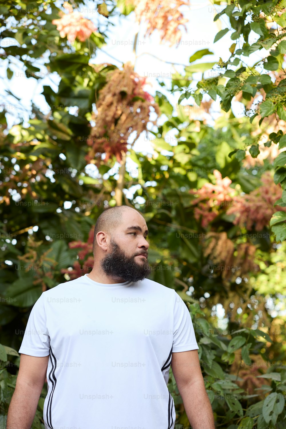 a man with a beard standing in front of trees