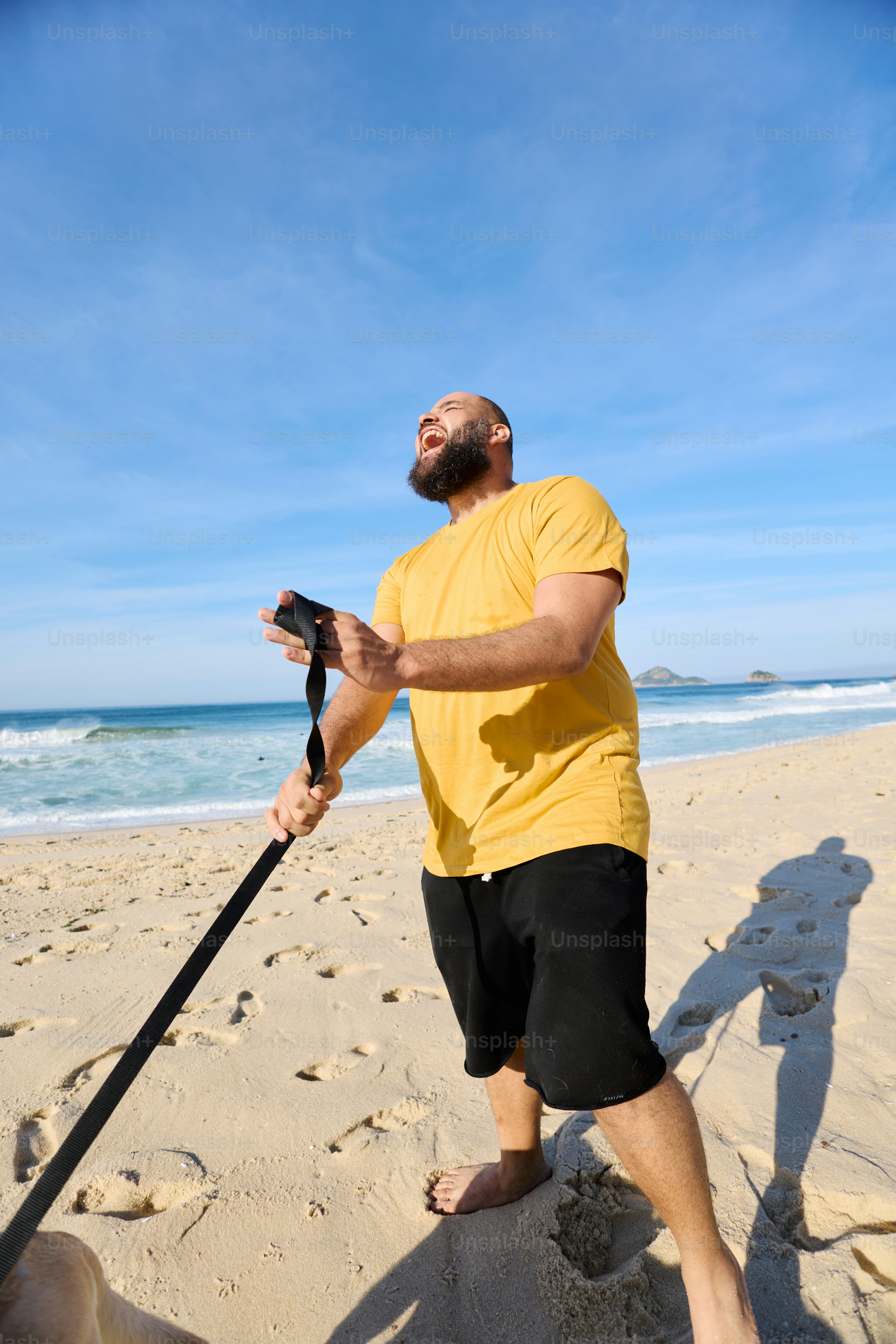 a man with a dog on a beach