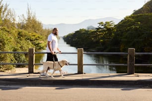 un uomo che porta a spasso un cane al guinzaglio su un ponte