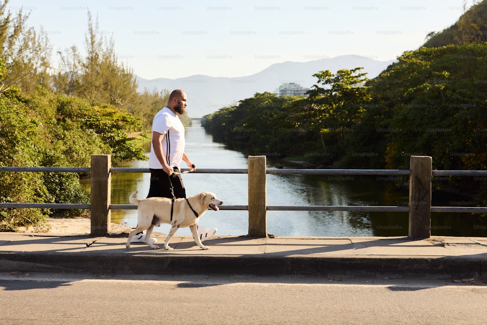 a man walking a dog on a leash on a bridge