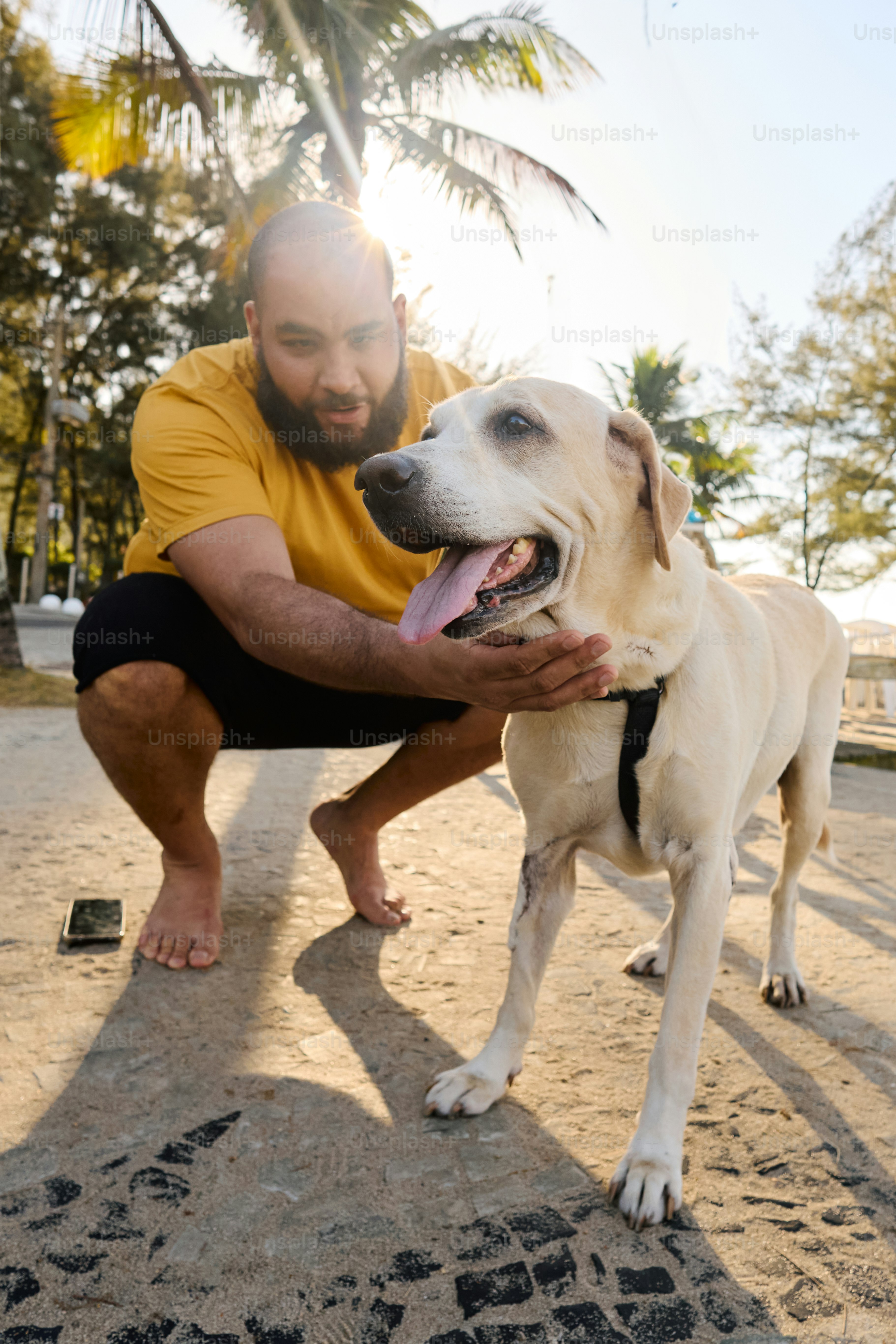 a man petting a dog on the beach