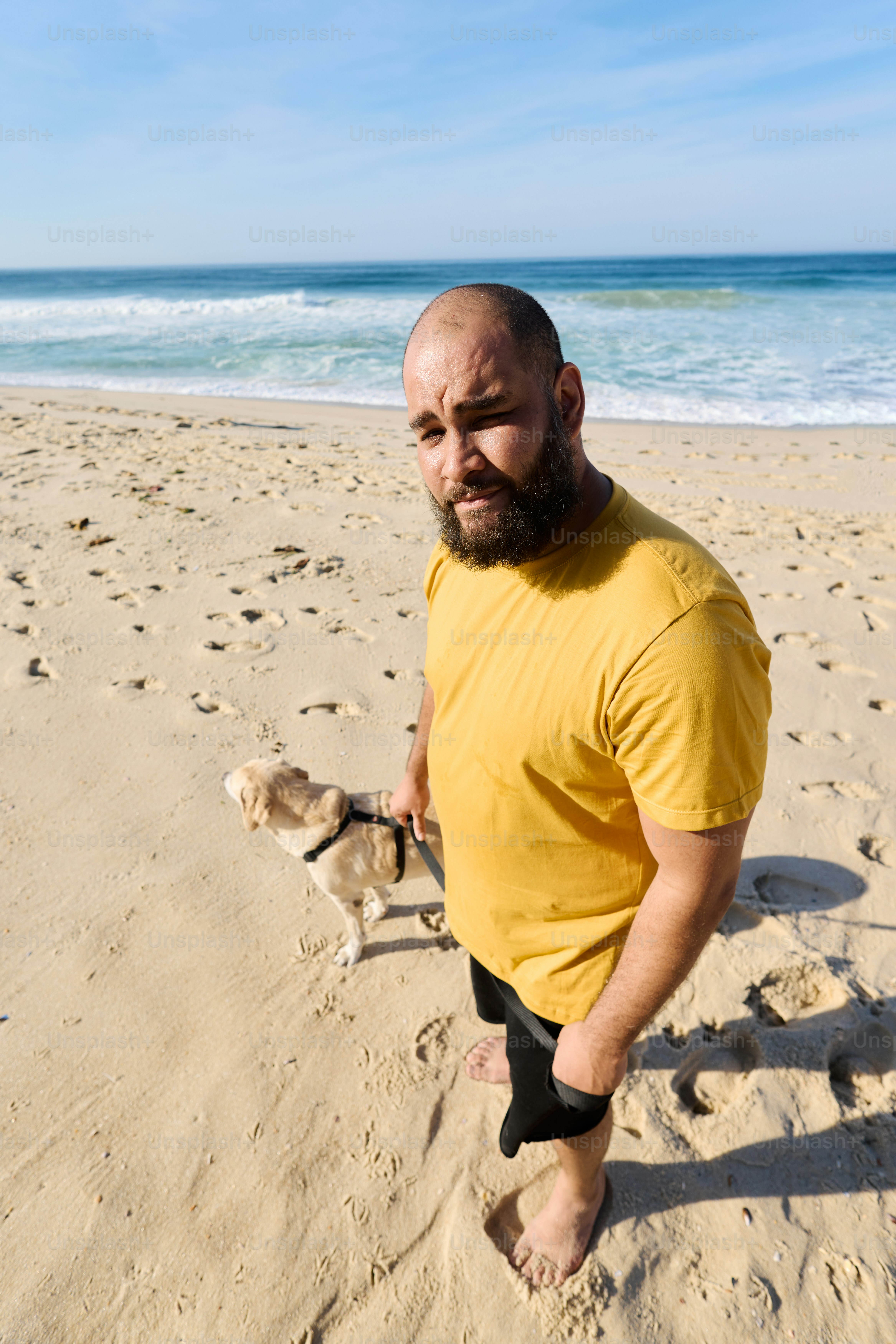 a man with a dog on a beach