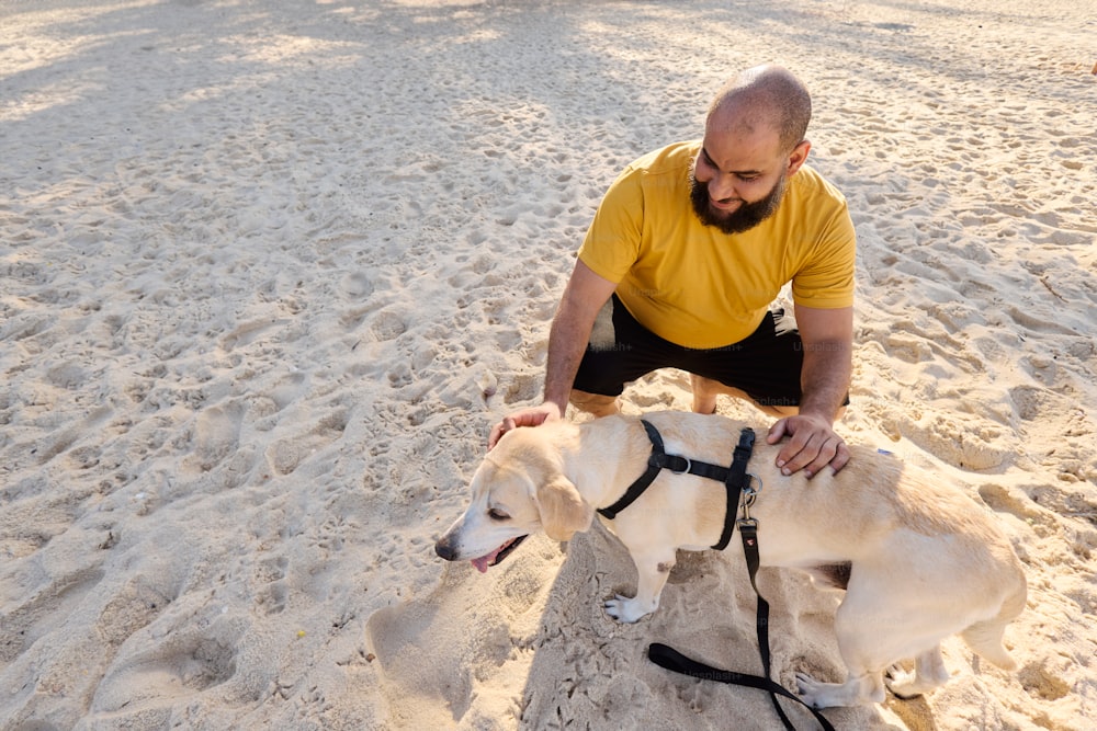 a man kneeling down next to two dogs on a beach