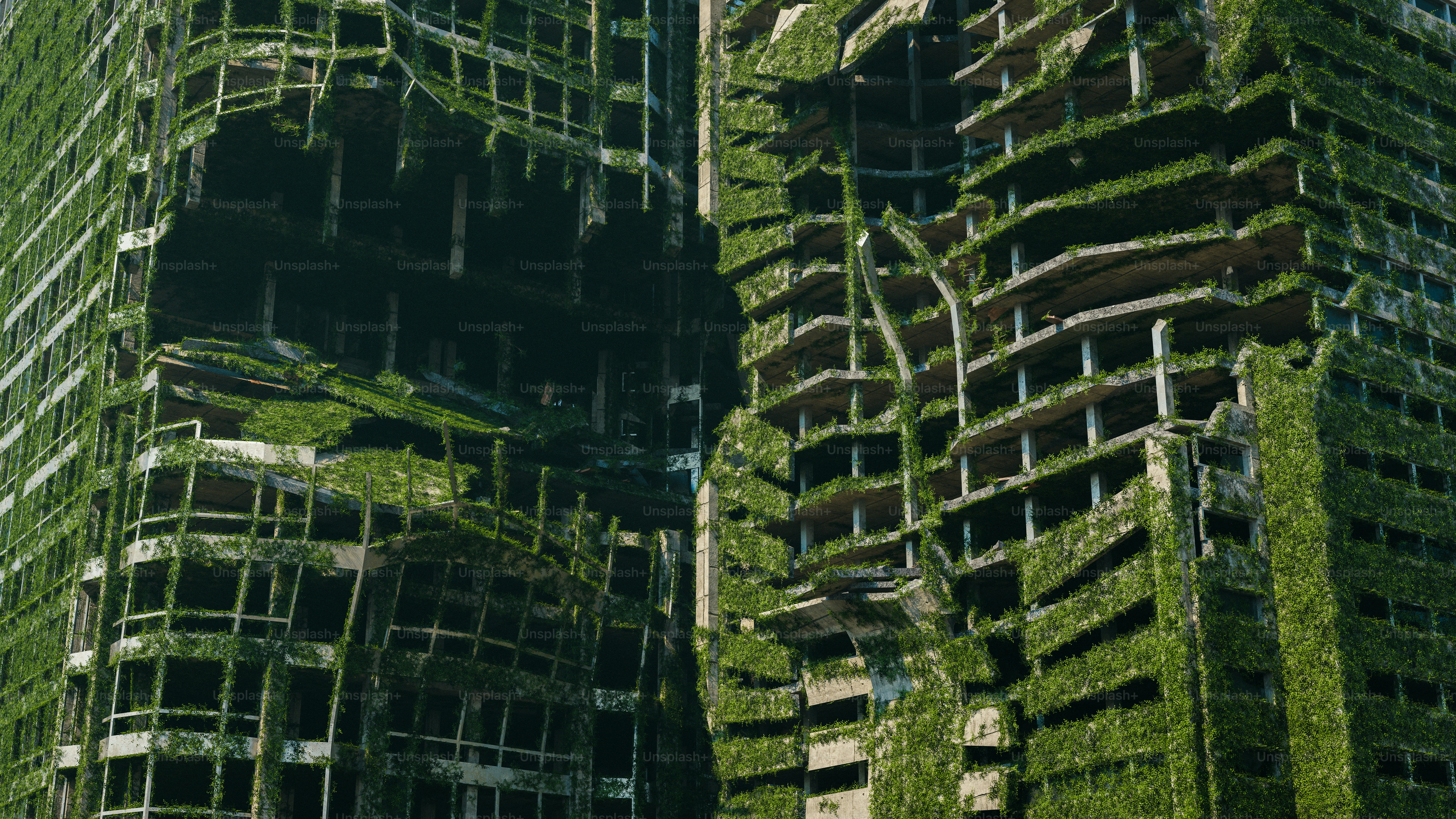 un très grand bâtiment avec beaucoup d’herbe qui pousse dessus