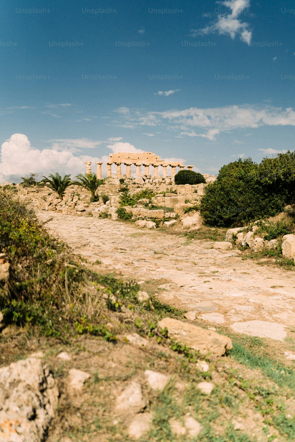 the ruins of the ancient city of palmyrate