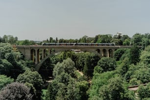 Un tren que viaja sobre un puente sobre un frondoso bosque verde