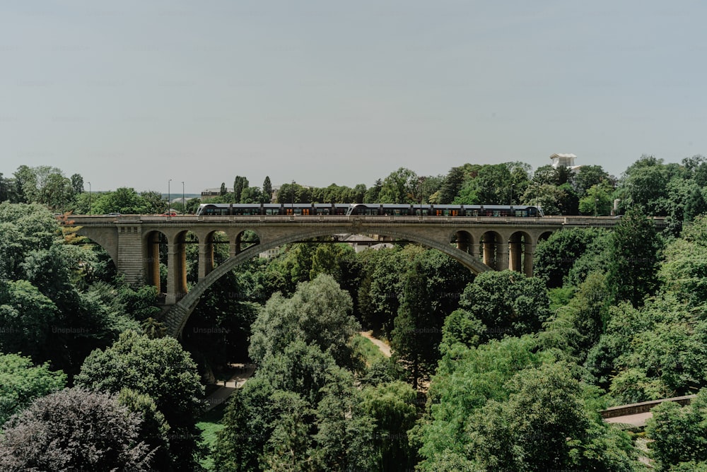 Ein Zug, der über eine Brücke über einen üppig grünen Wald fährt