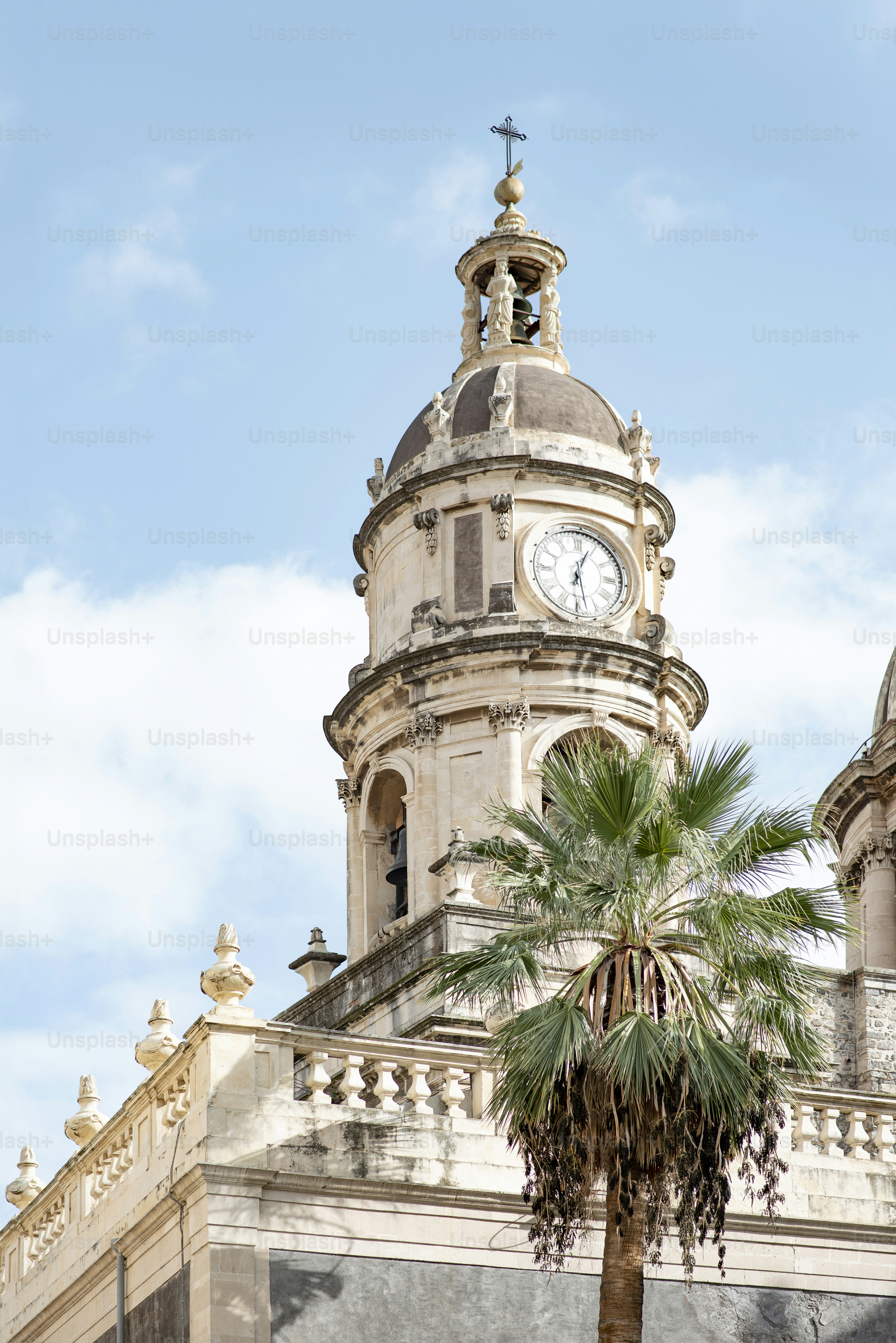 a clock tower with a palm tree in front of it
