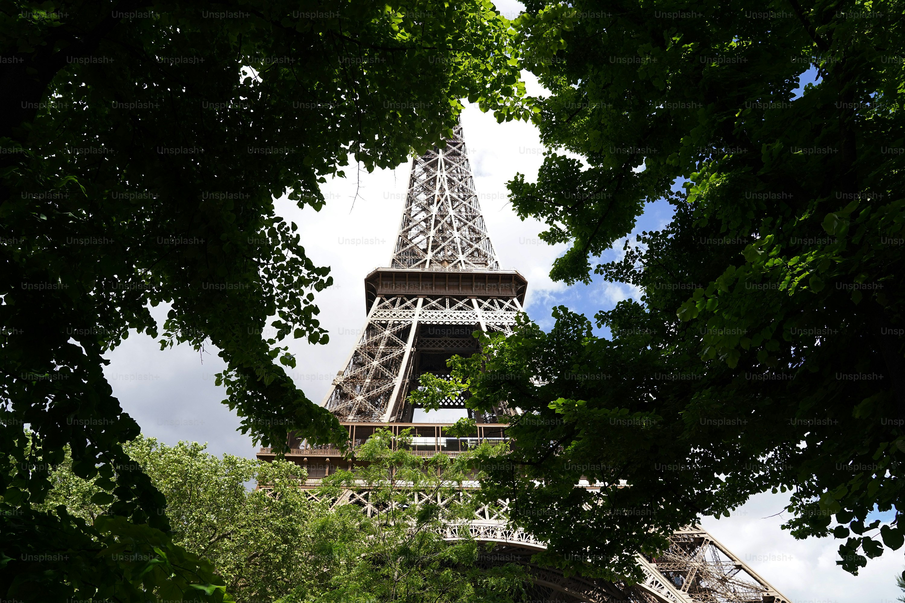 Uma vista da Torre Eiffel através das árvores