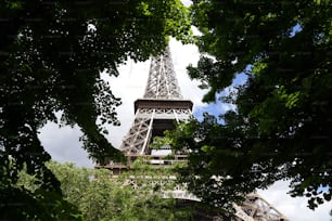 Uma vista da Torre Eiffel através das árvores