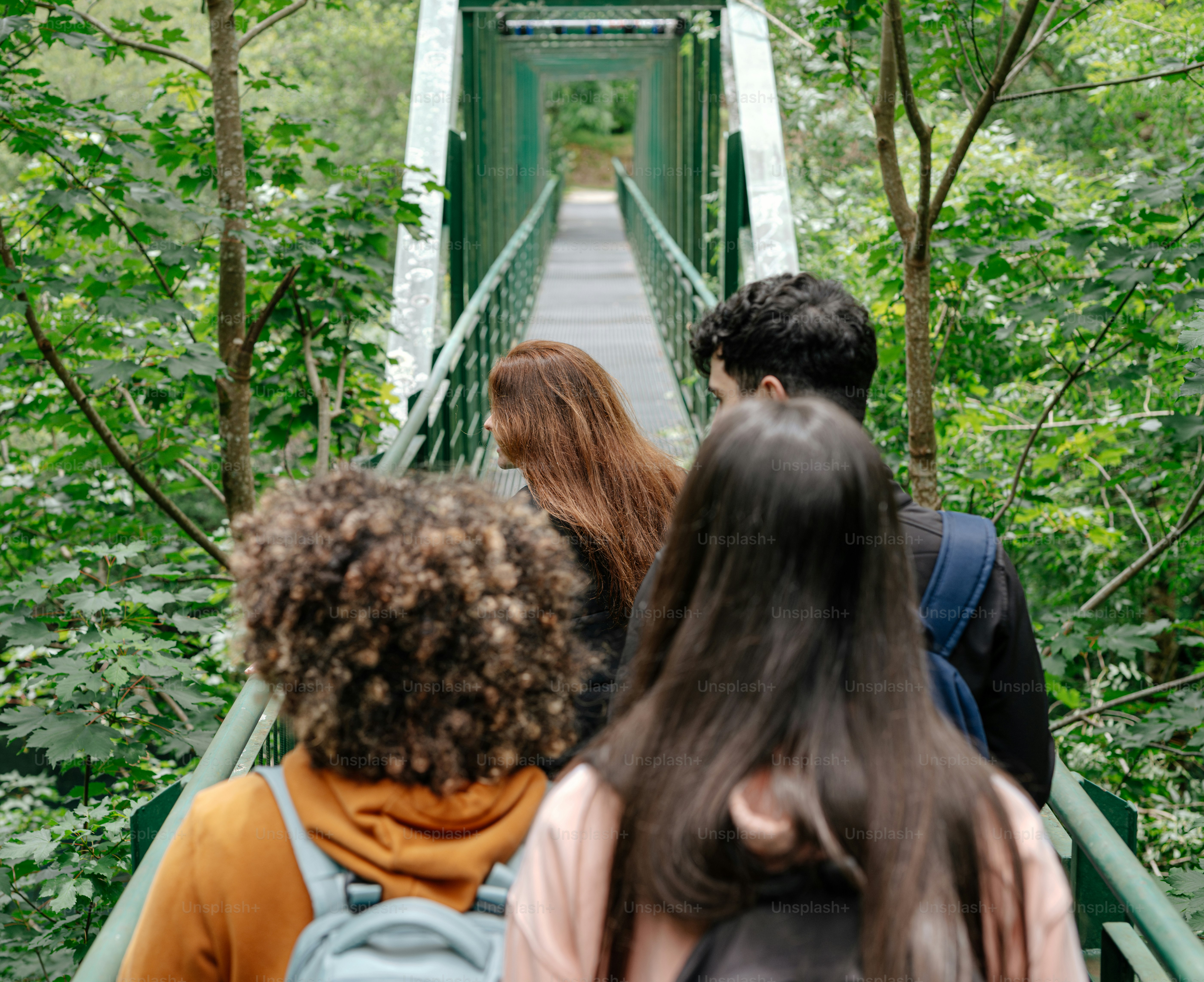Bridges of Understanding: How Cultural Encounters Transform Lives