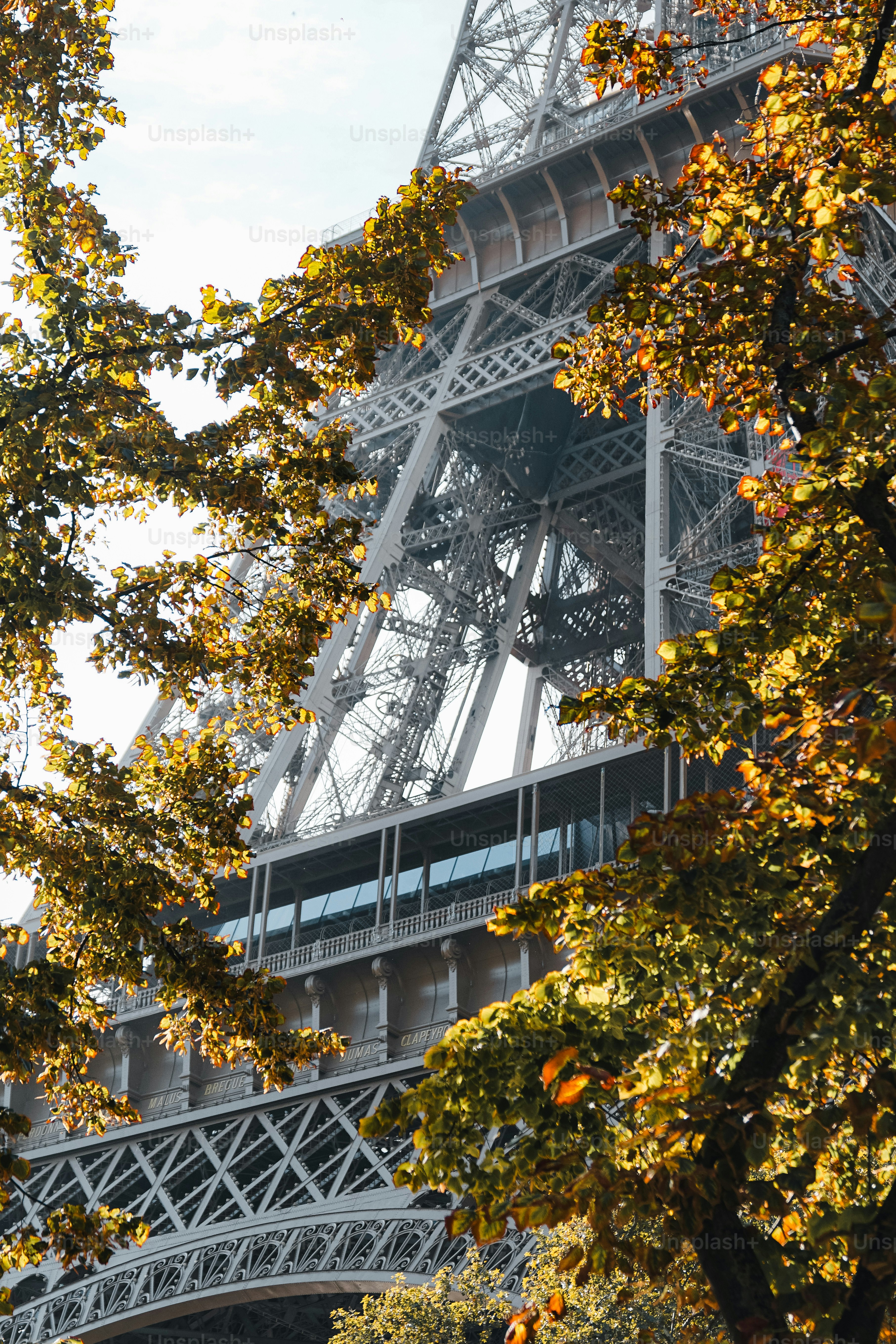 Une vue de la Tour Eiffel à travers les arbres