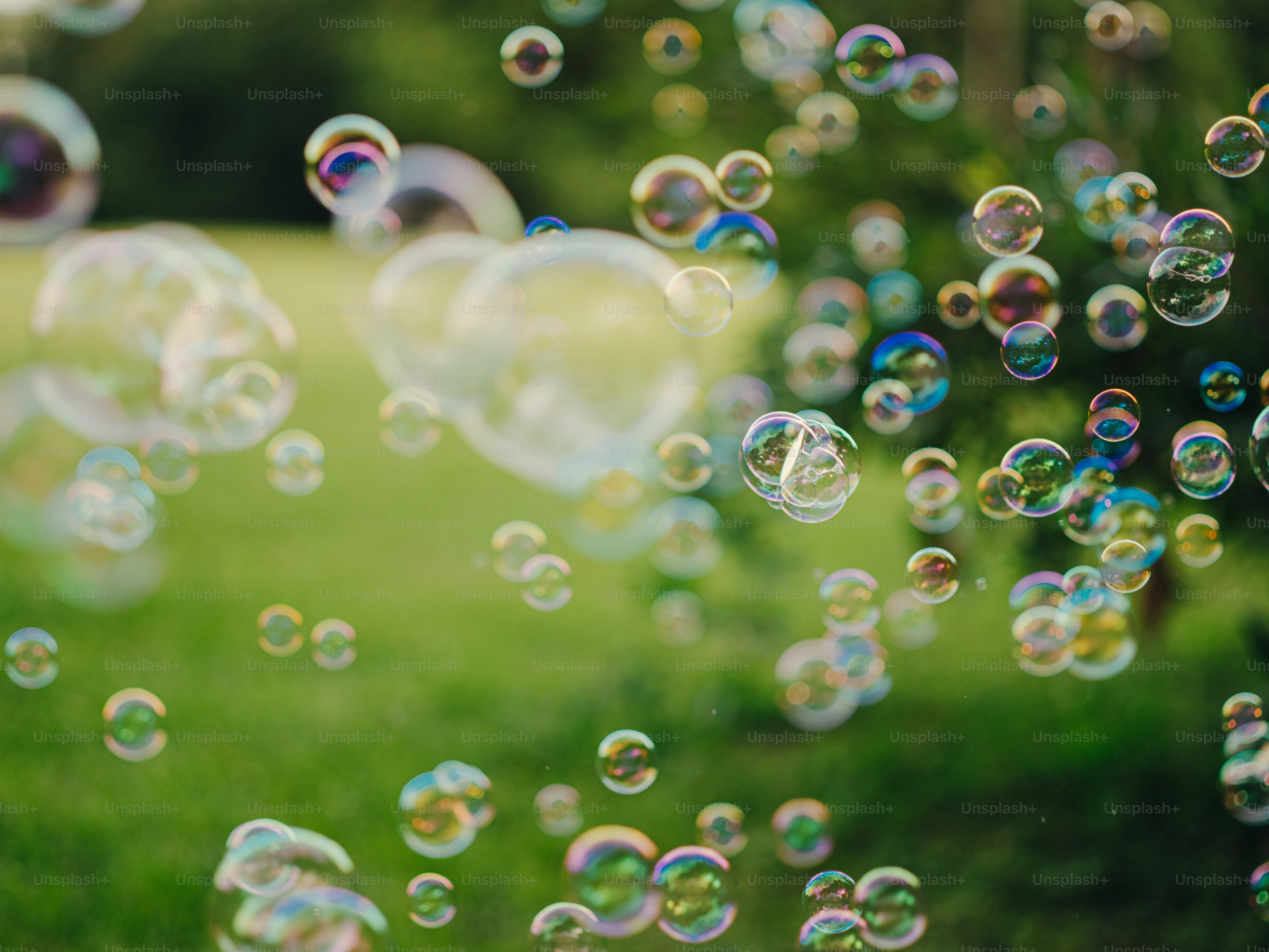 a bunch of soap bubbles floating in the air