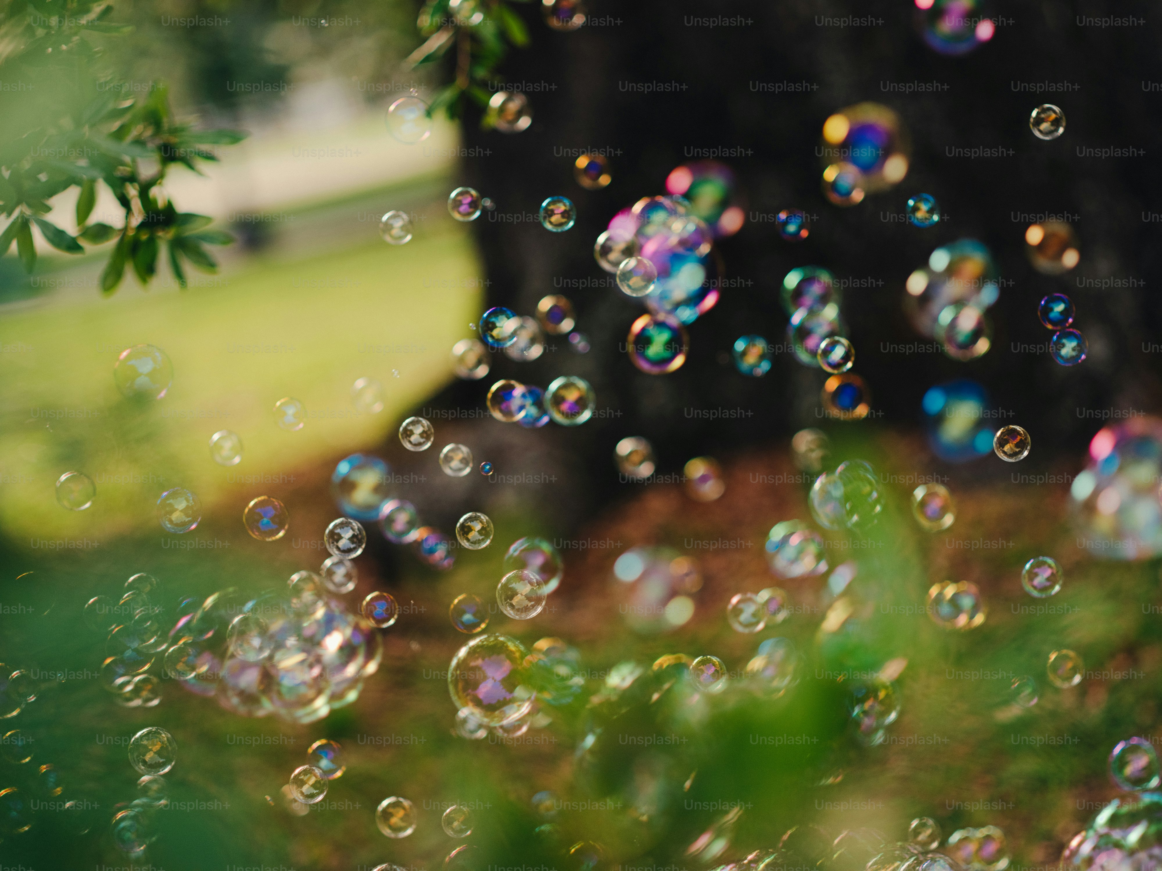 a bunch of bubbles that are floating in the air