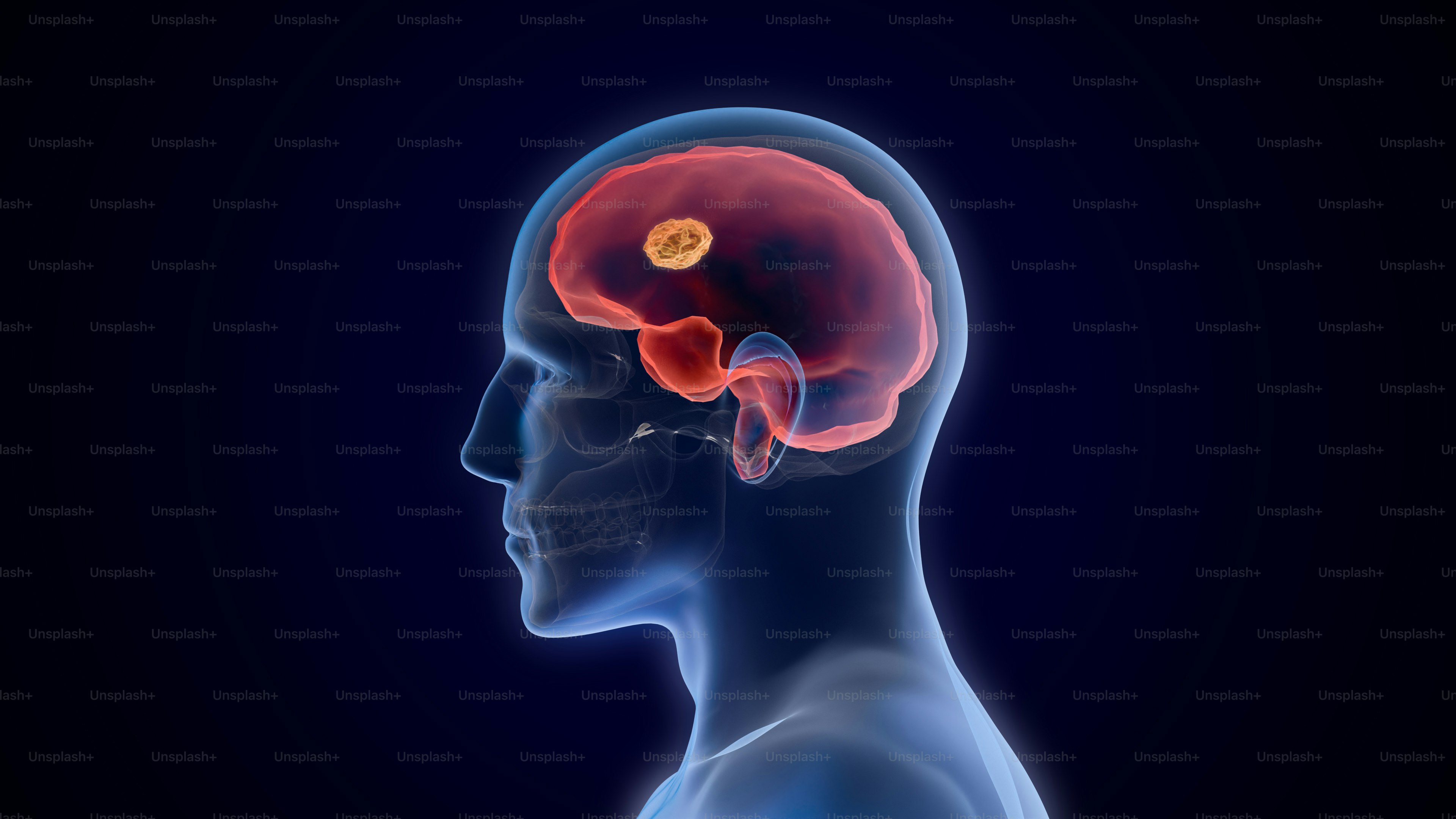 a human head with the brain highlighted in red