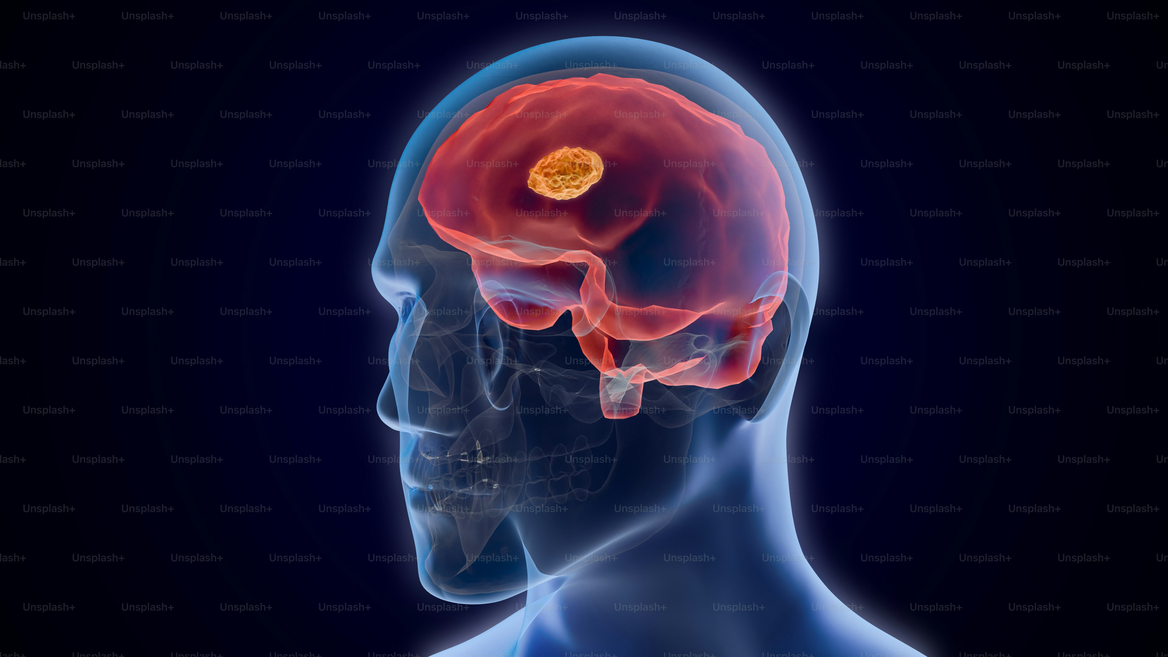 premium_photo-1717728191854-c38eddf84400