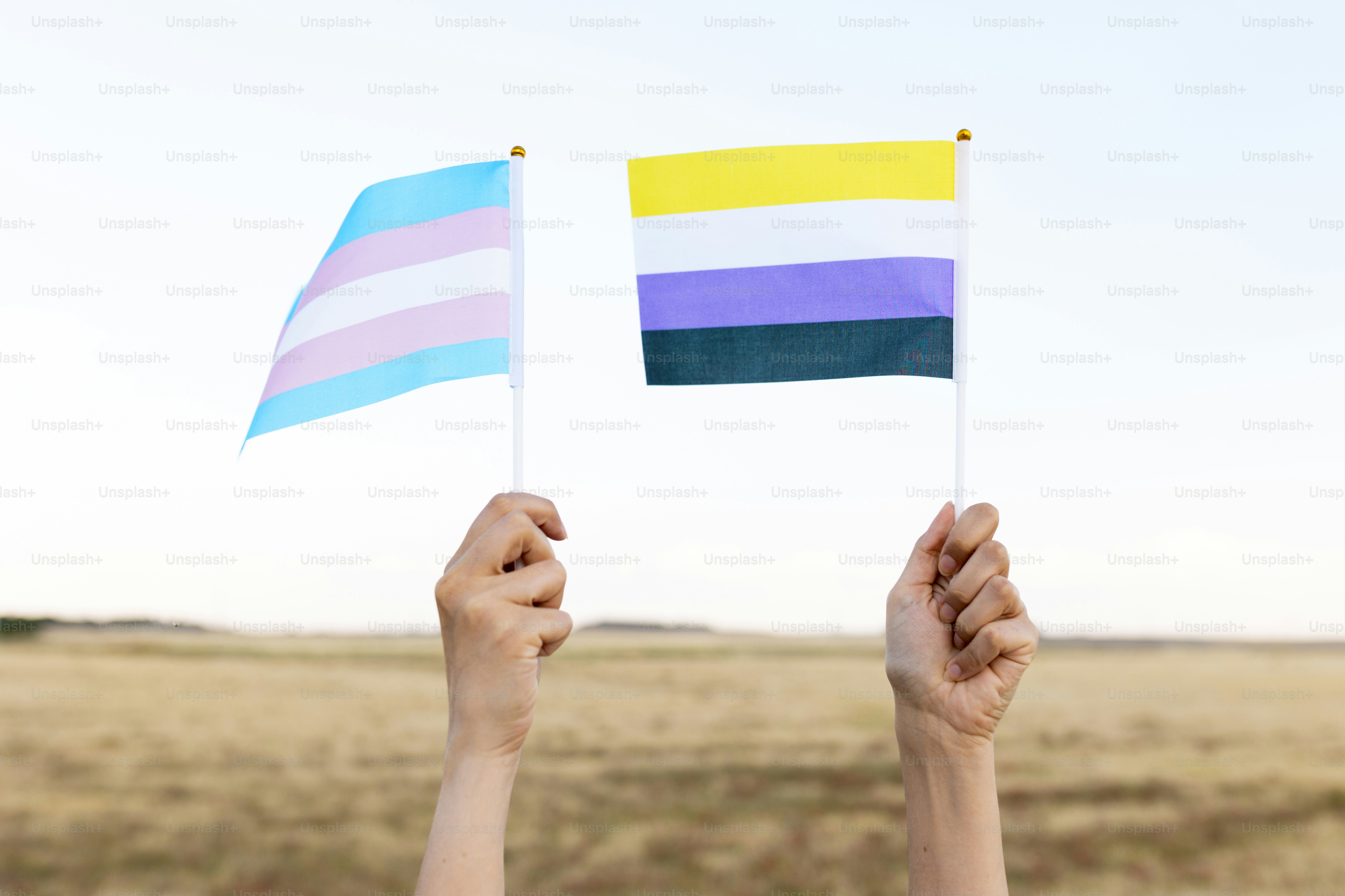 a person holding a rainbow flag in the middle of a field
