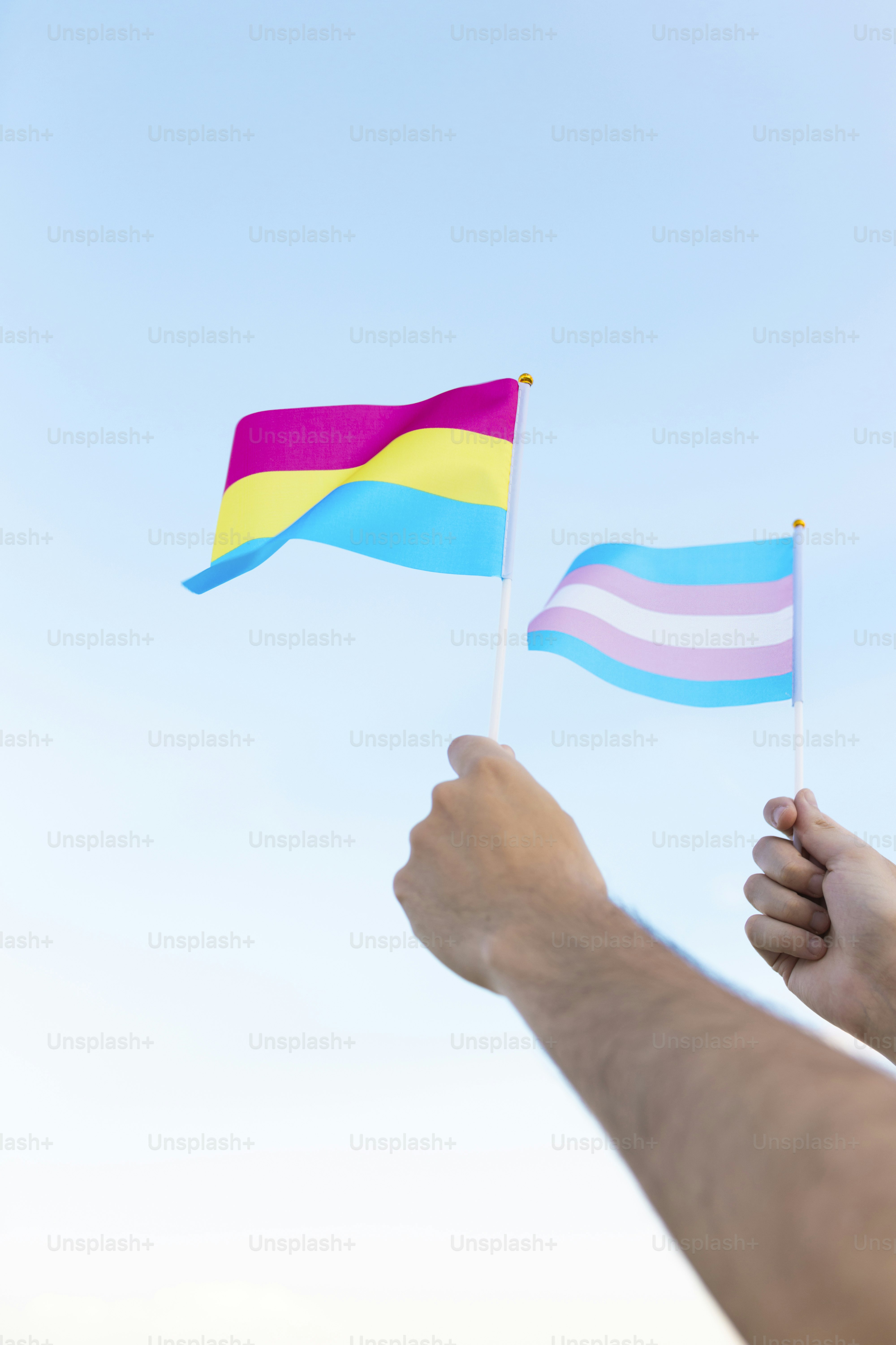 a hand holding two flags in the air