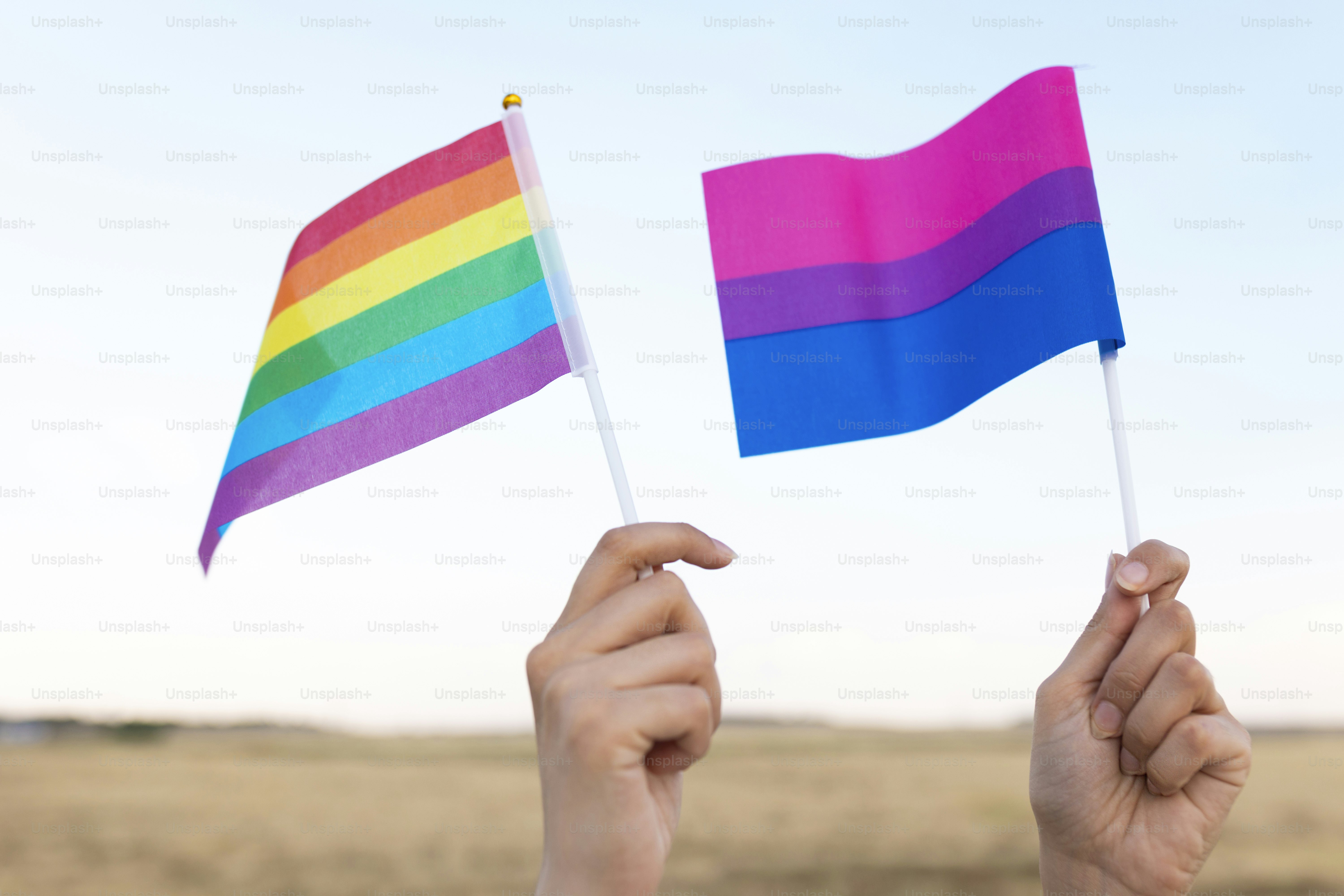 a person holding a rainbow flag in a field