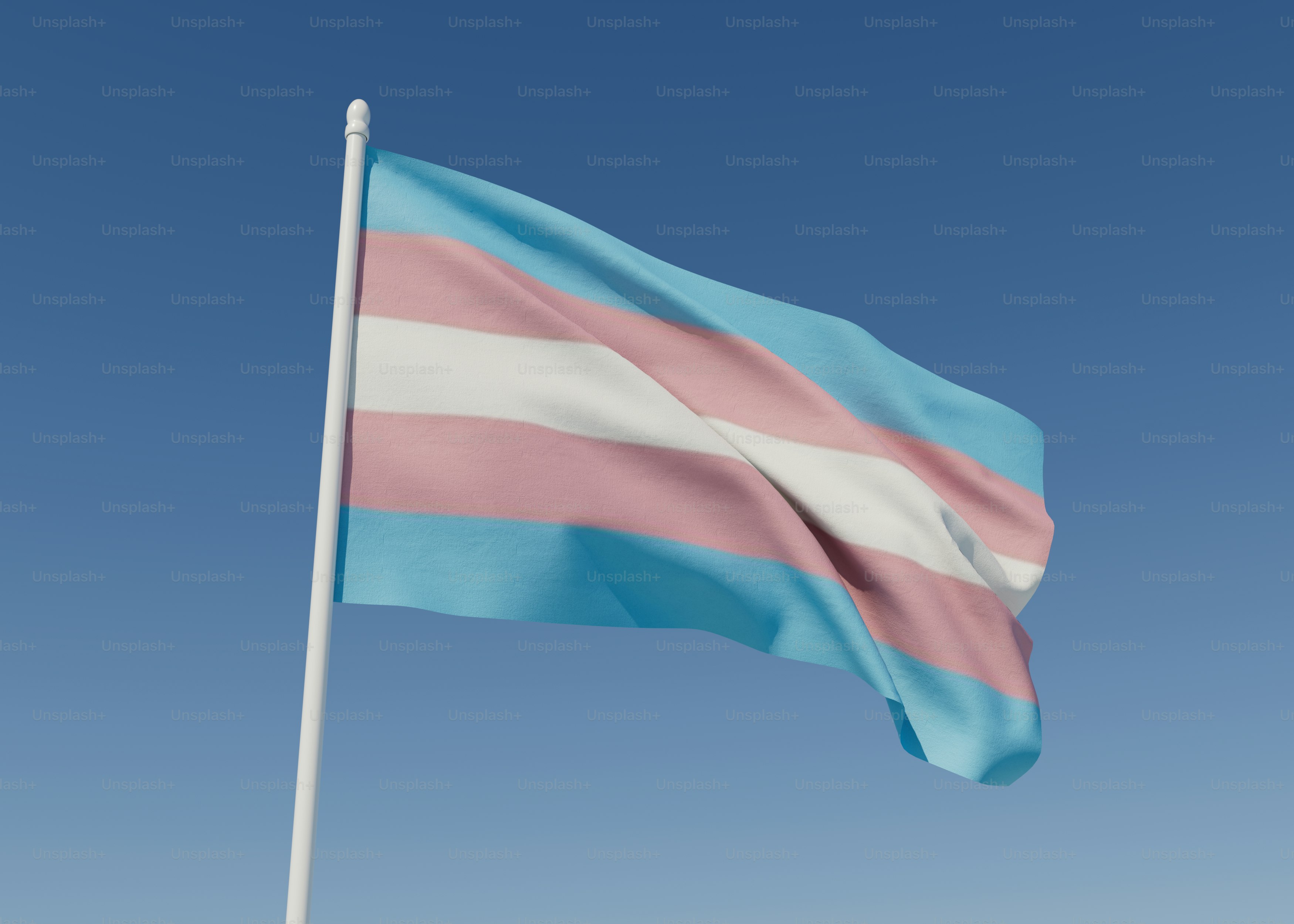 una bandera rosa y azul ondeando en el cielo