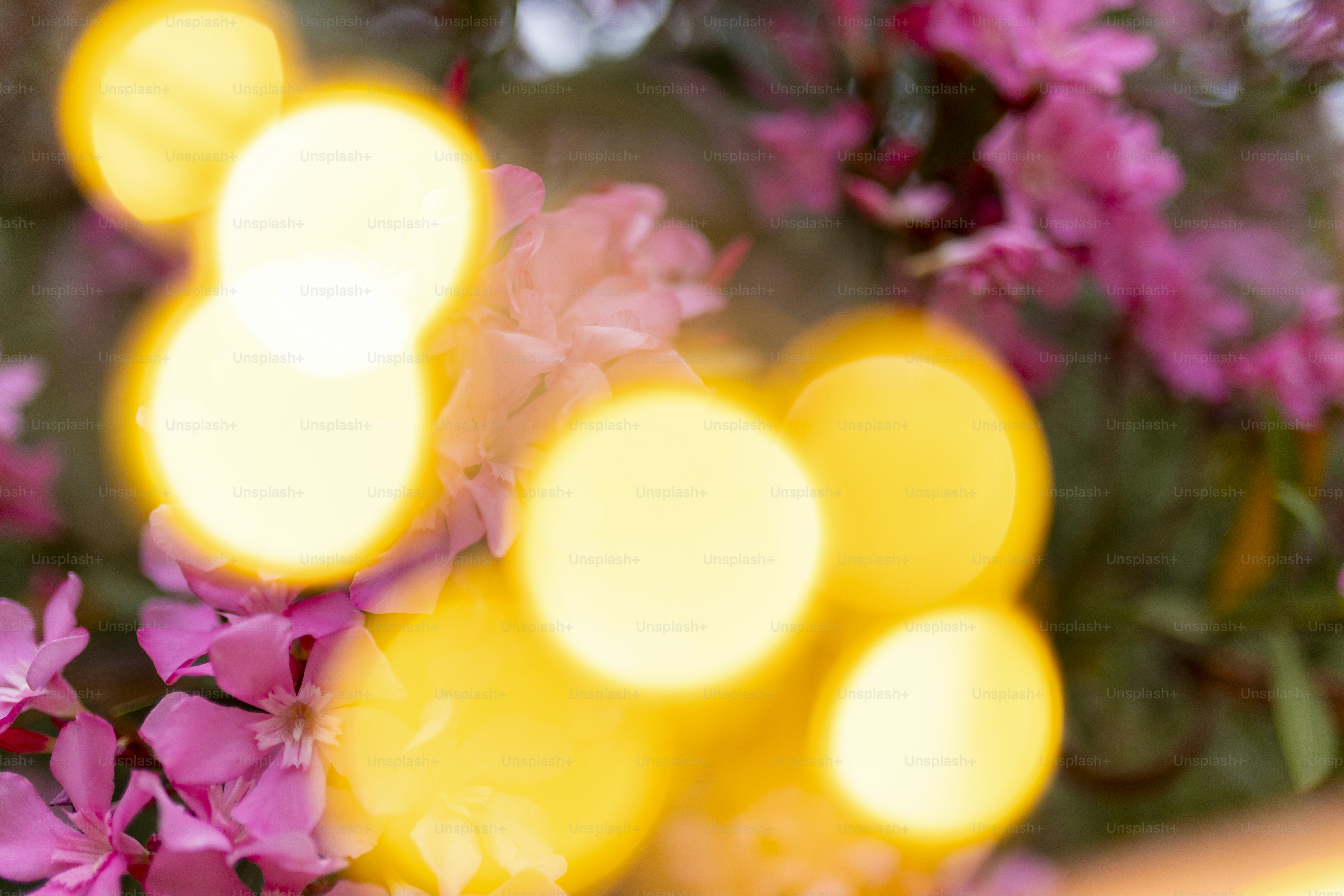 a bunch of flowers that are in a vase