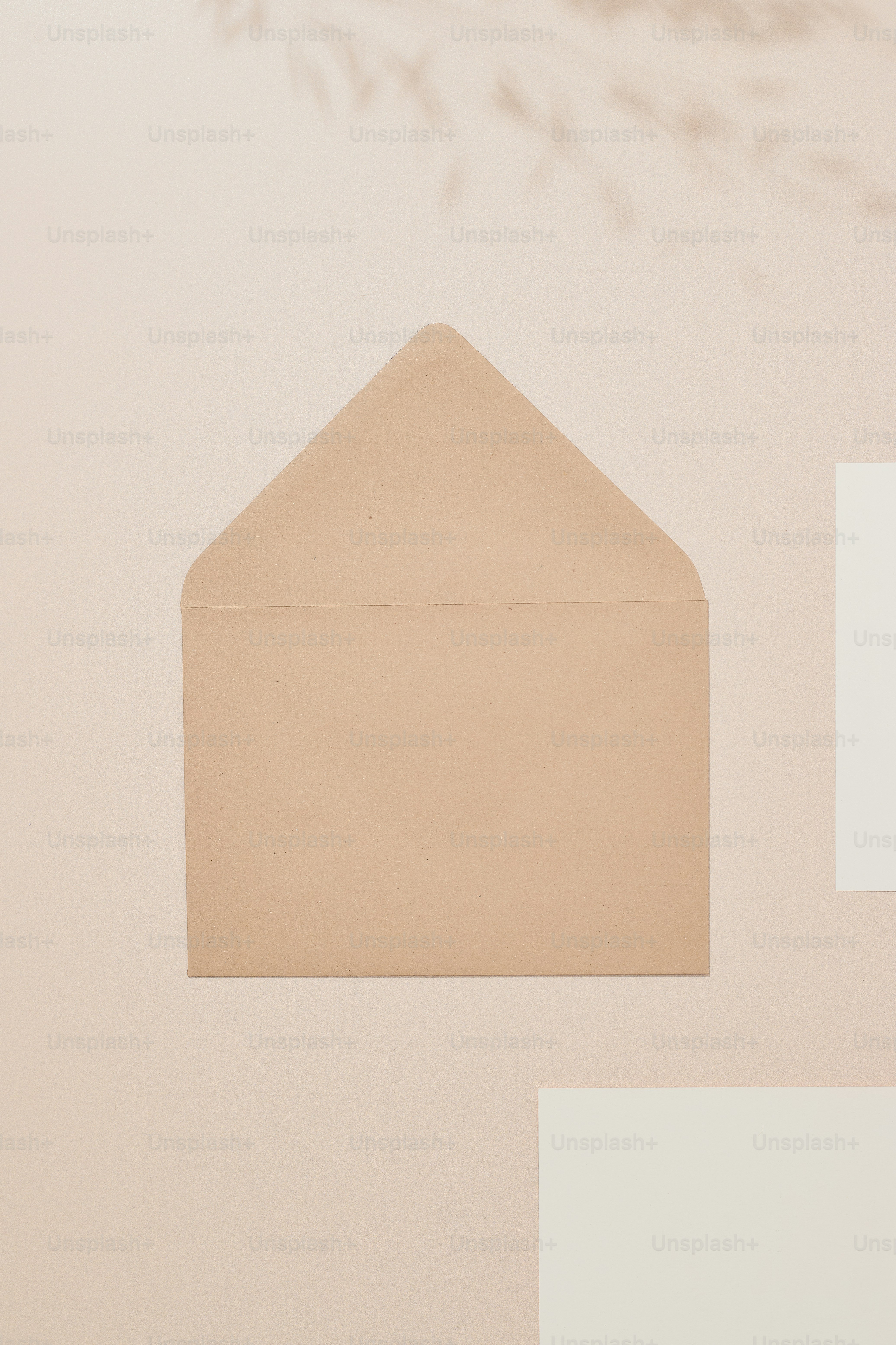 Overhead of invitation mockups in a neutral color palette.