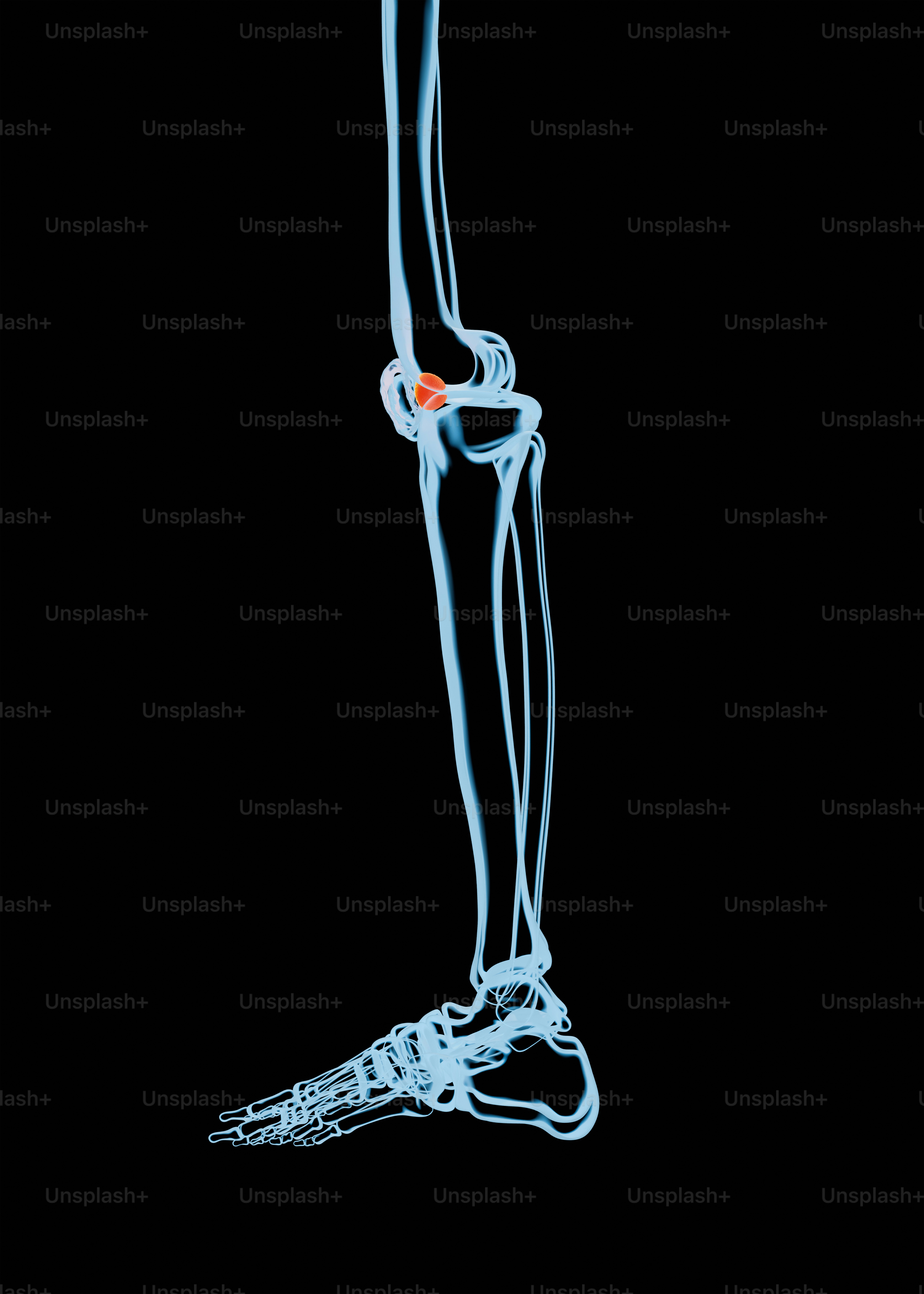 人の足と足の写真