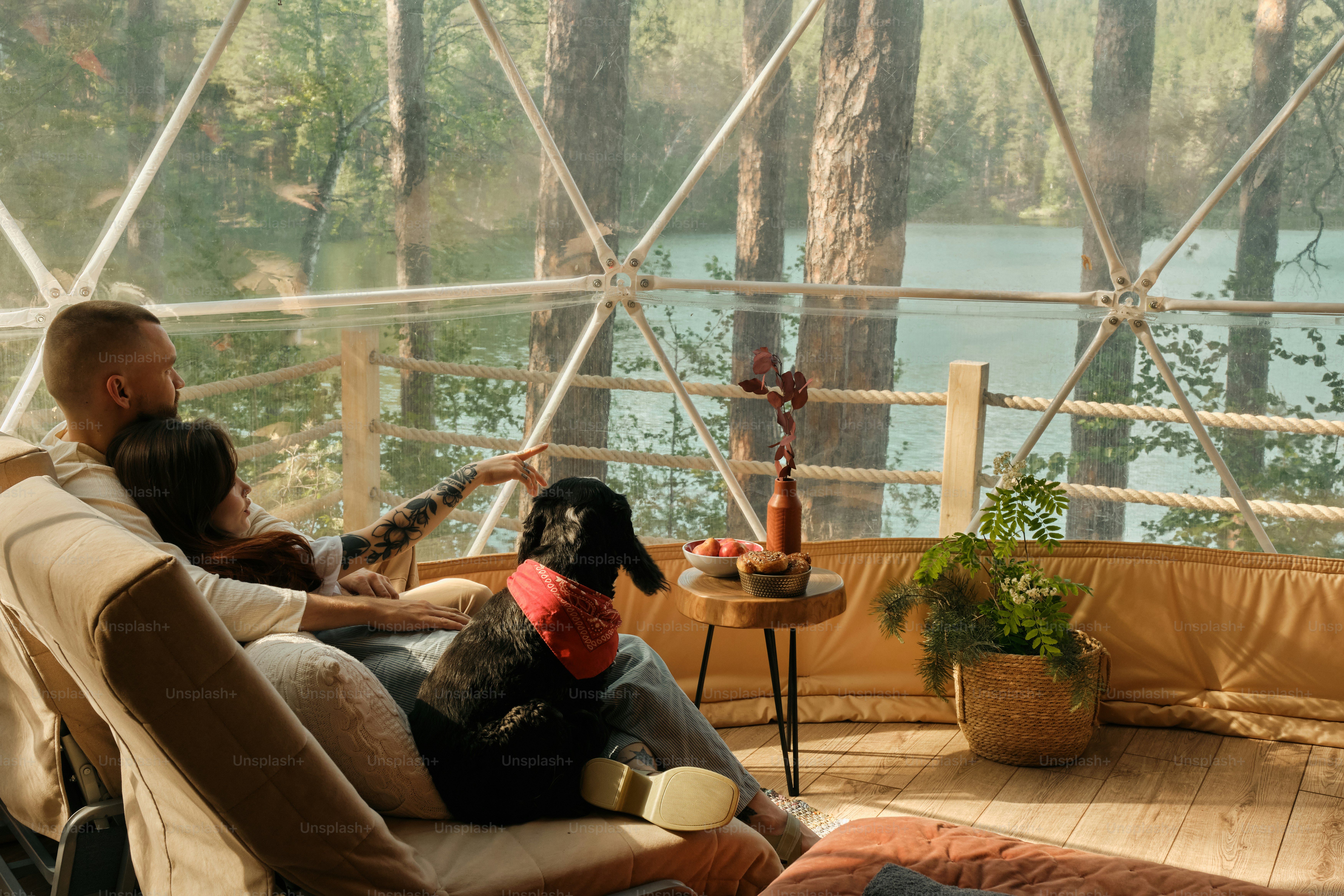 a man and a woman sitting on a porch with a dog