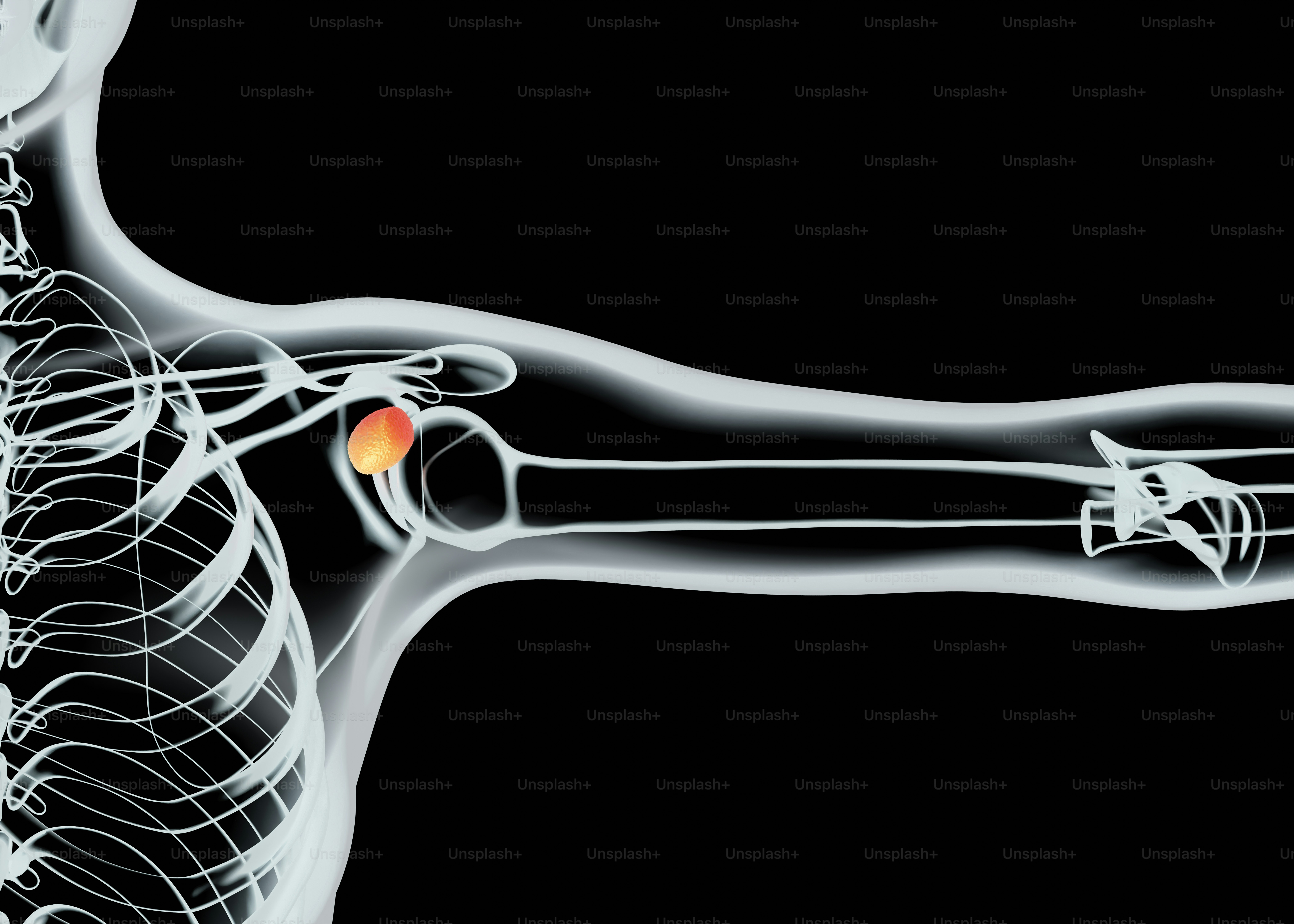 真ん中にボールが乗った人体のイメージ
