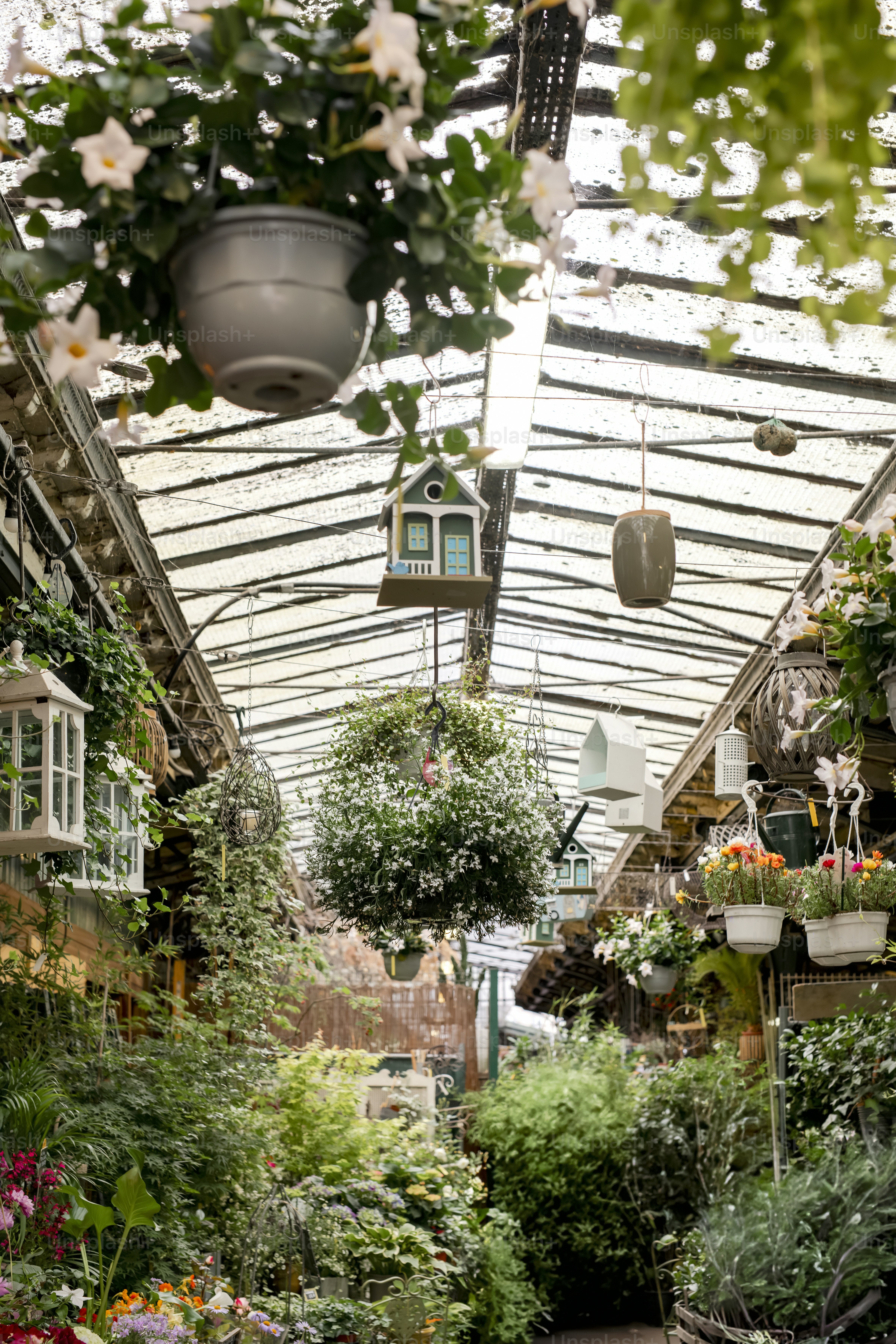 a greenhouse filled with lots of plants and hanging plants