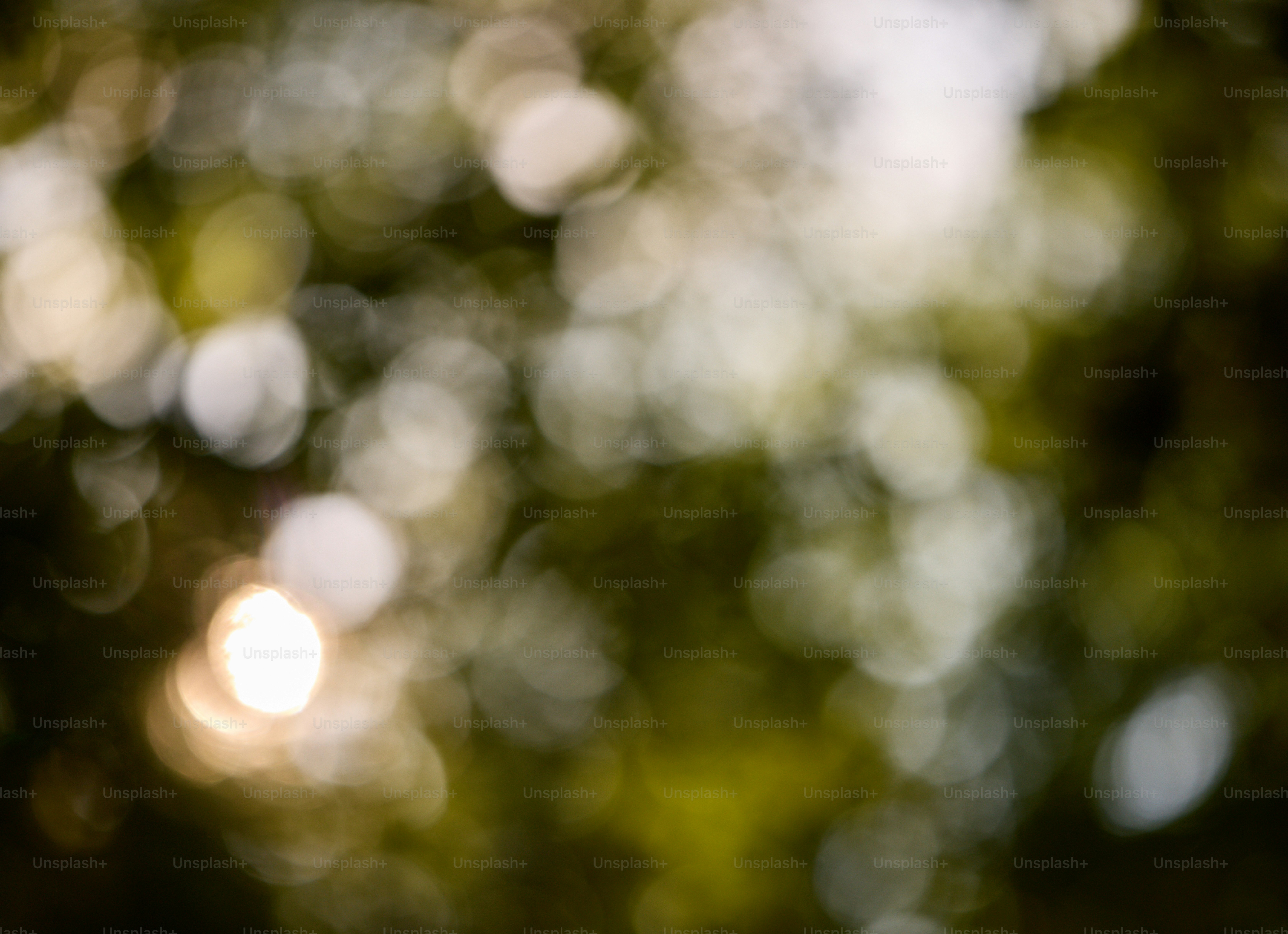 Ein verschwommenes Foto der Sonne durch die Bäume