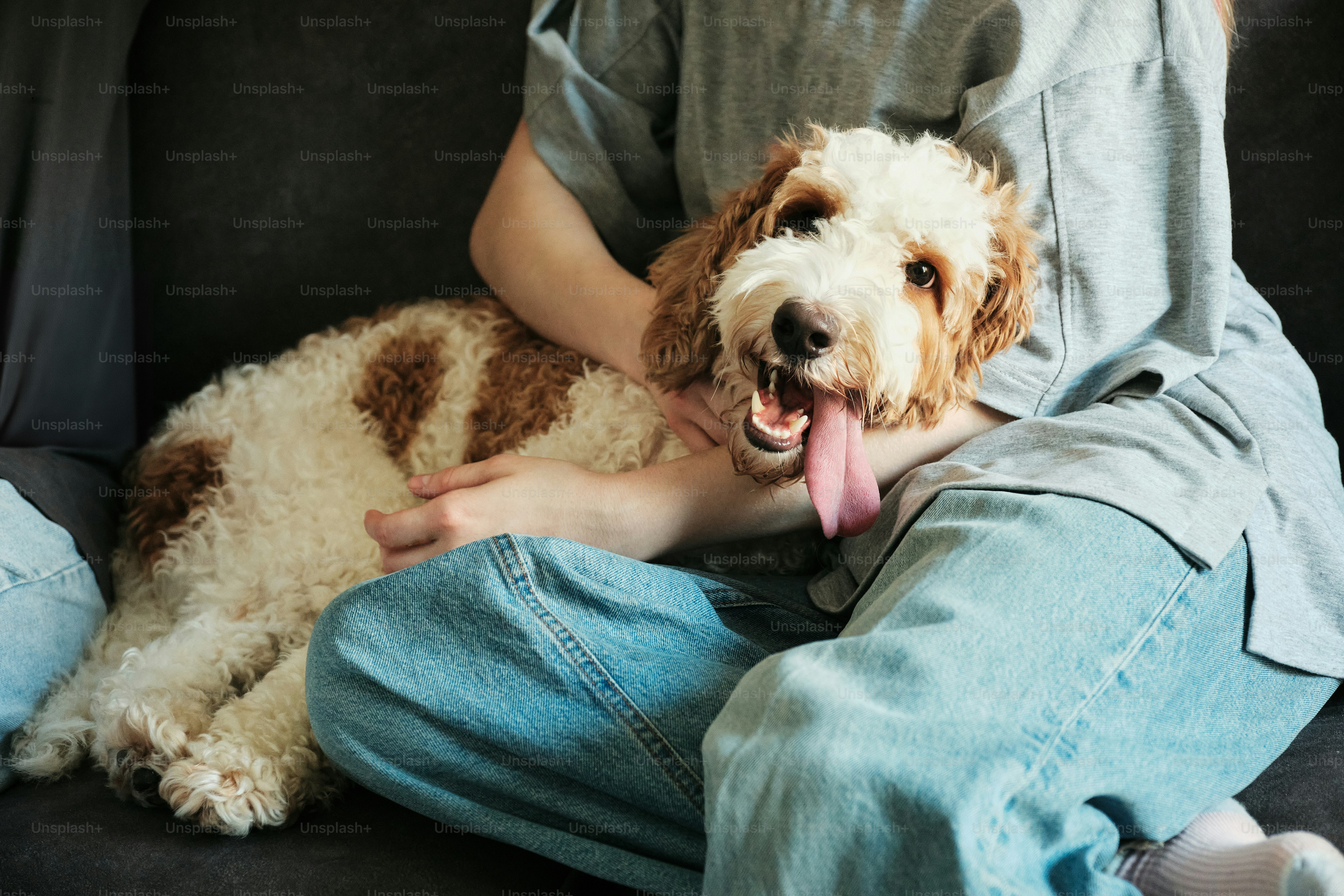 A person sitting on a couch with a dog