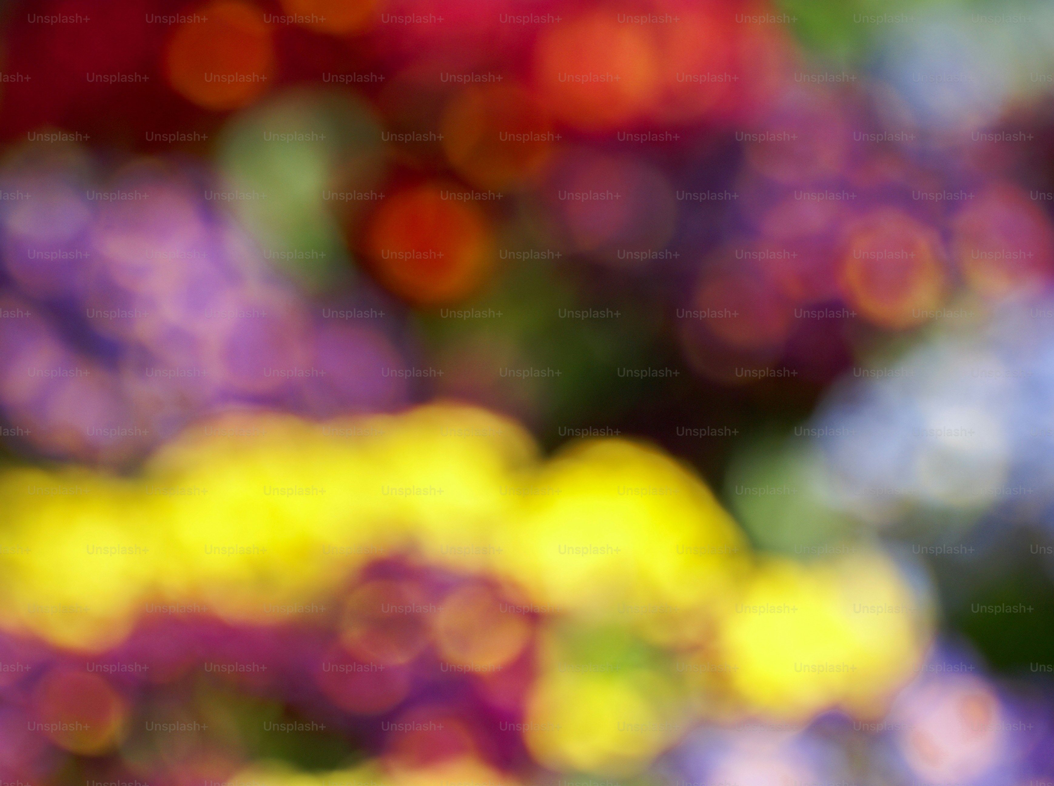 a blurry photo of a bunch of flowers