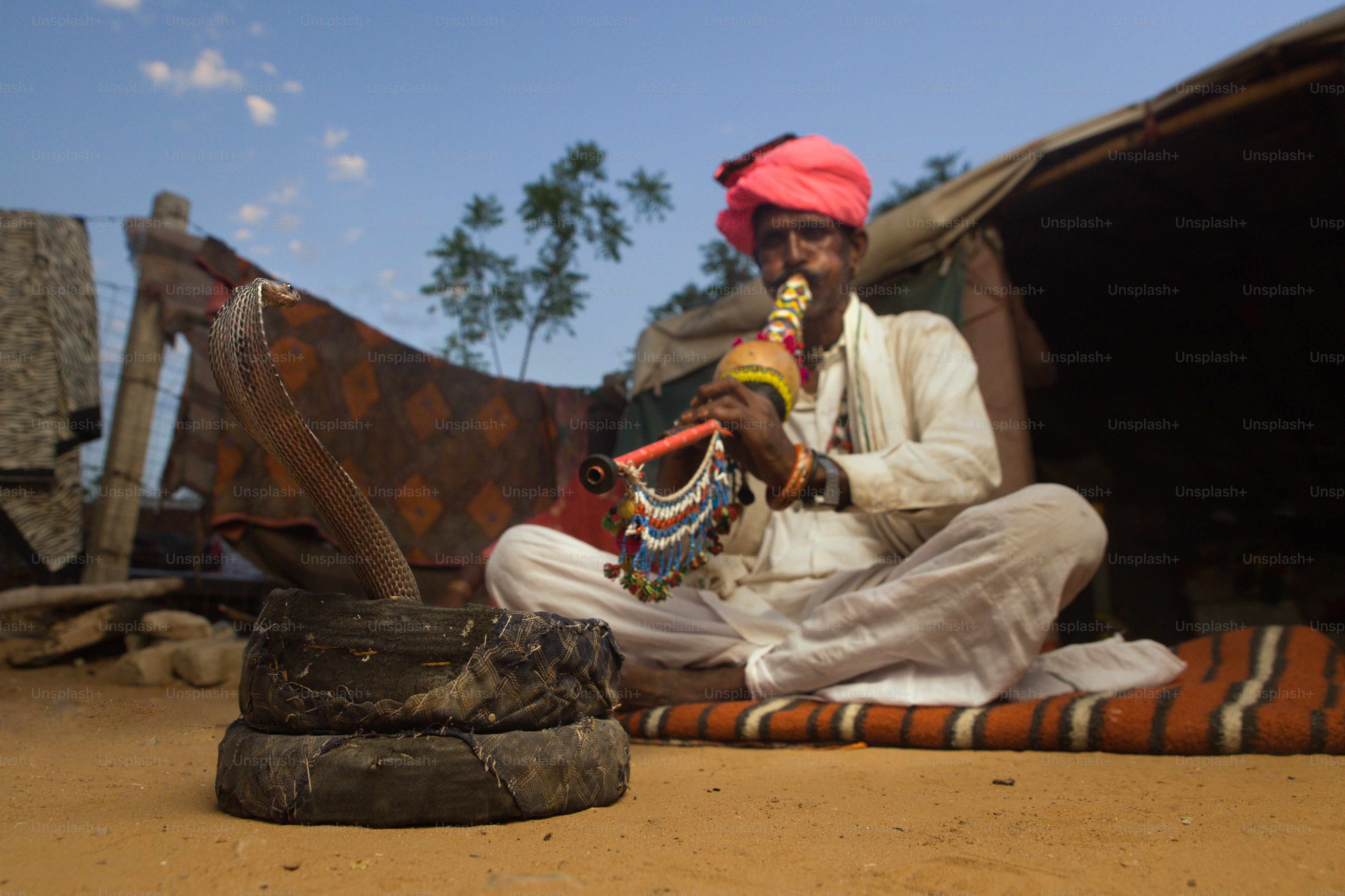 Reimagining Folklore: Traditional Stories in Modern Media